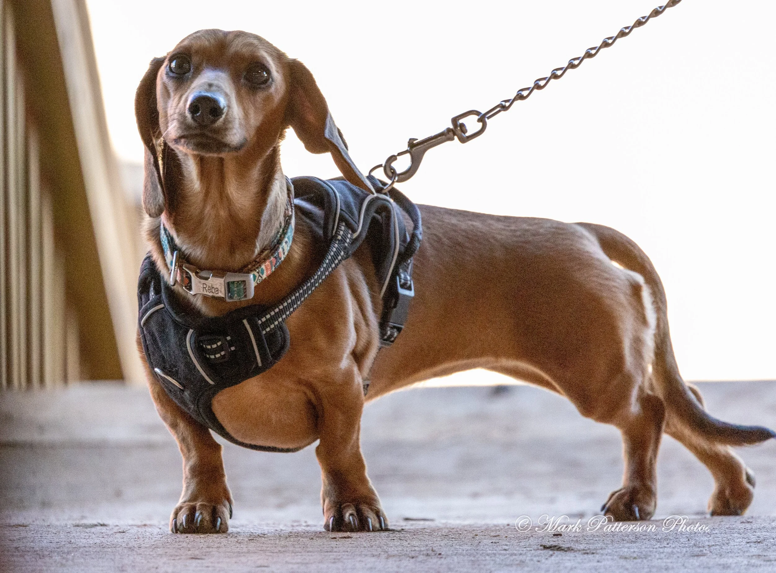 On January 4, 2026, family and friends gathered at the barrel racing event held at Latigo Farm in Landrum, SC. #17383