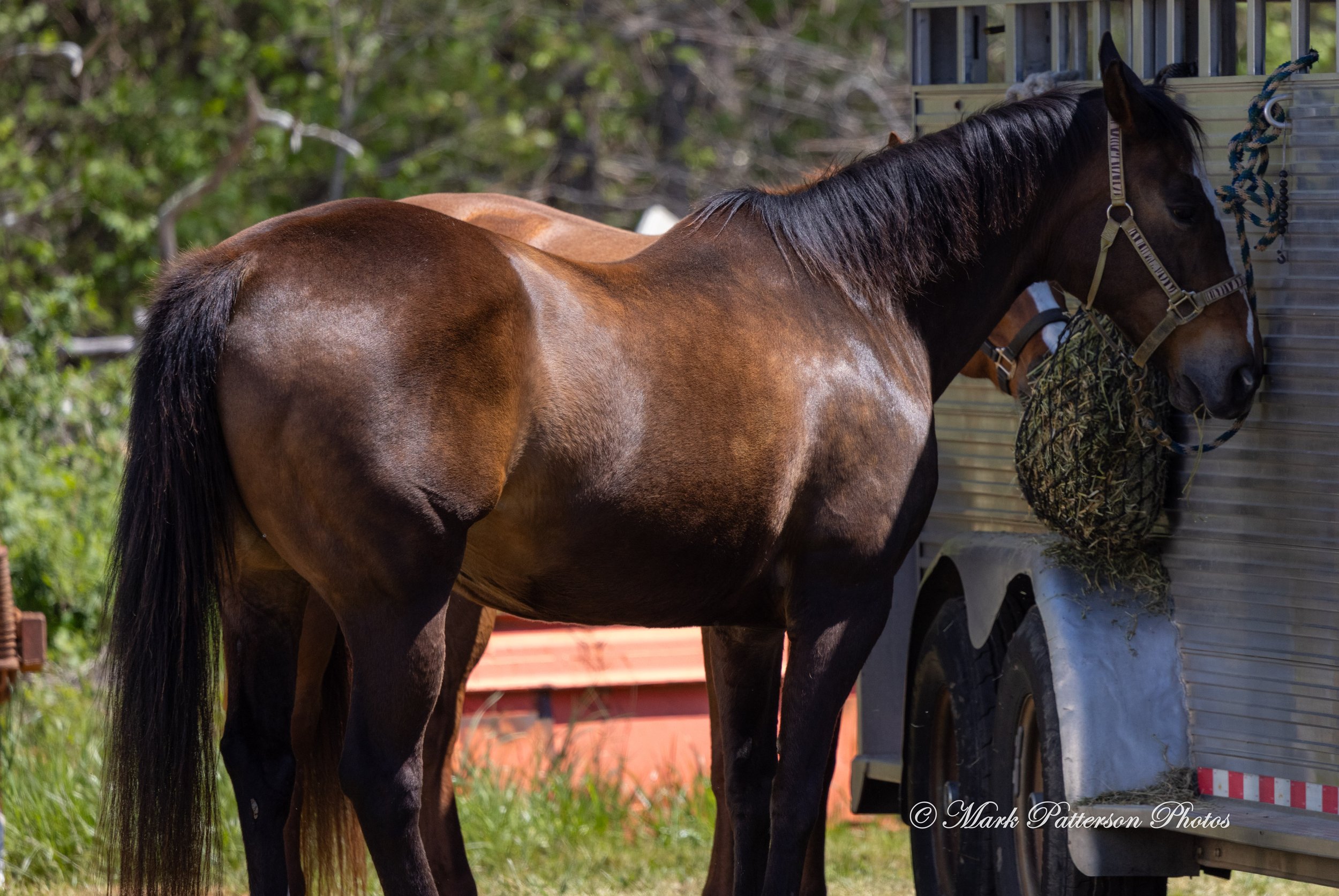 April 11, 2026, a barrel racing team competing at Latigo Farm in Landrum, SC. #1416