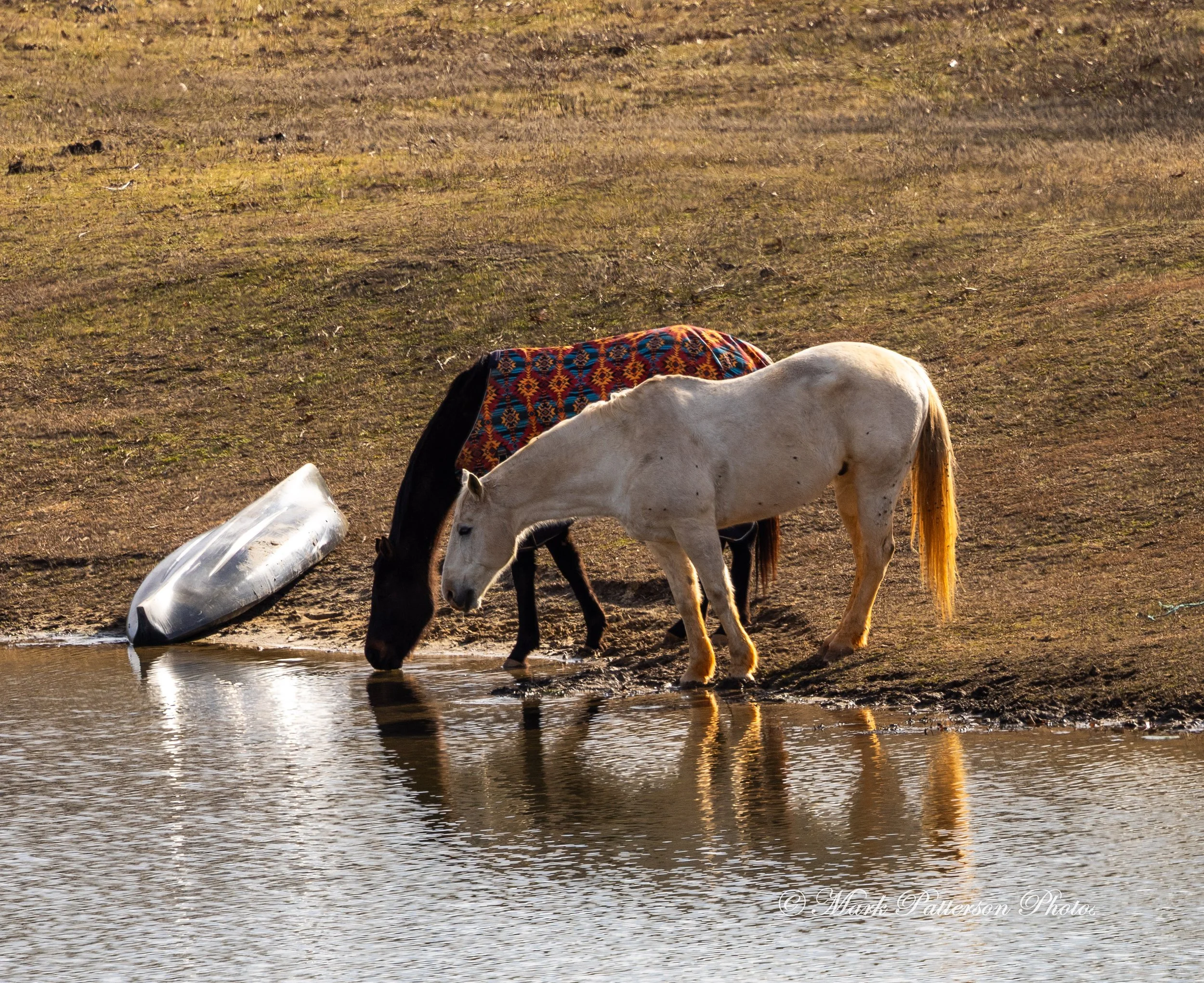 20260208 - Latigo Farm Pond - 21152.JPG