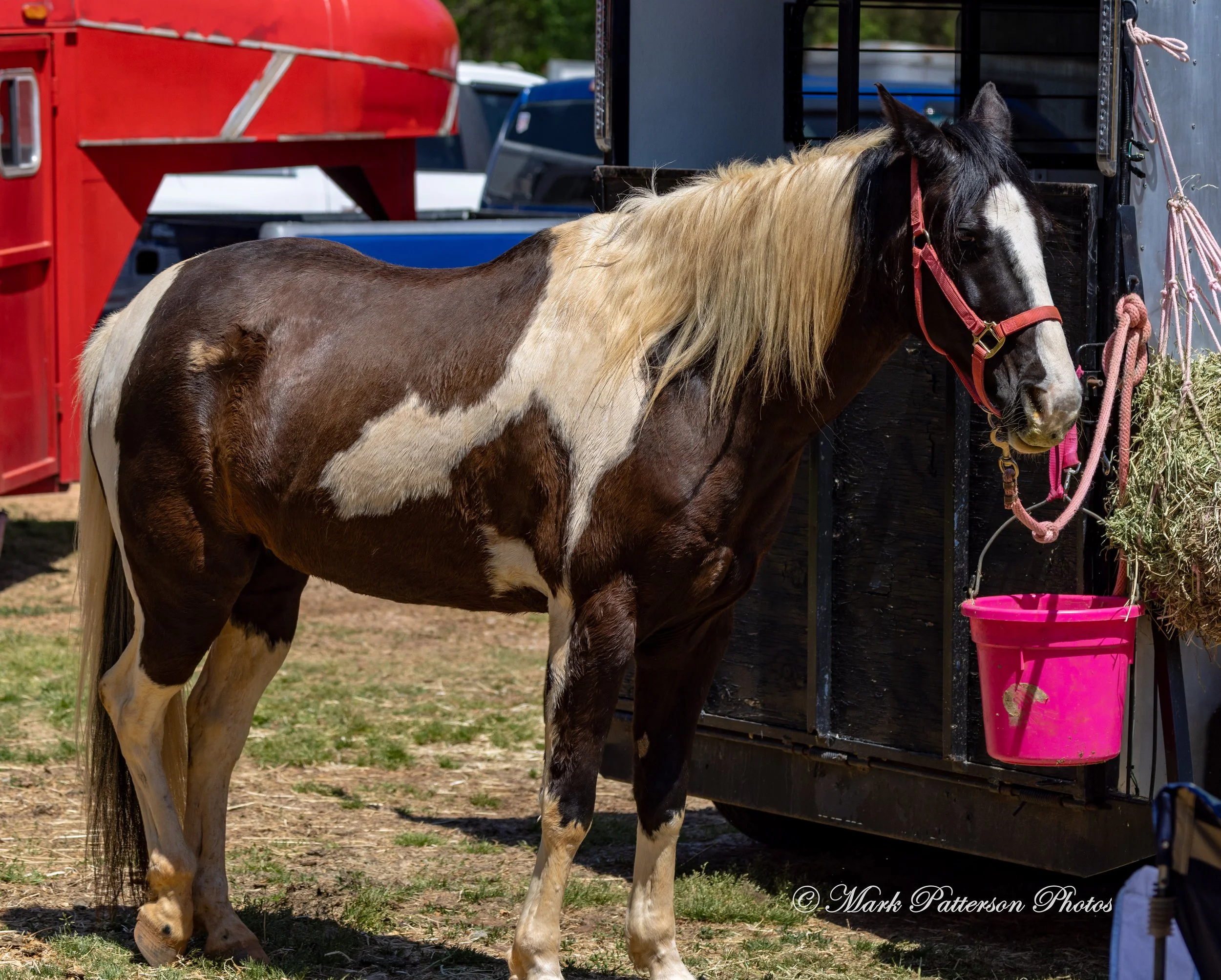 April 11, 2026, a barrel racing team competing at Latigo Farm in Landrum, SC. #1426