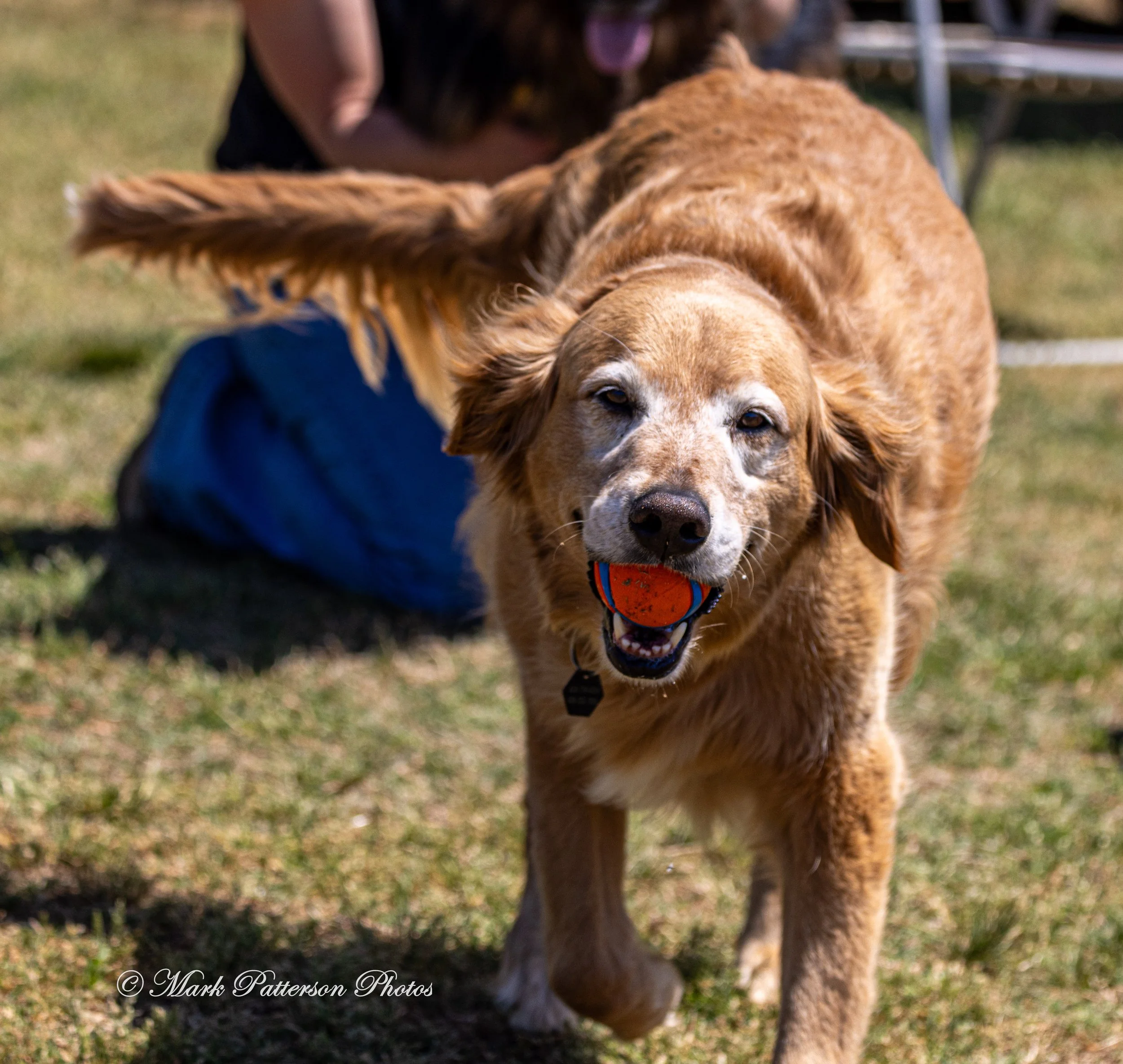 April 11, 2026, a barrel racing team competing at Latigo Farm in Landrum, SC. #1455