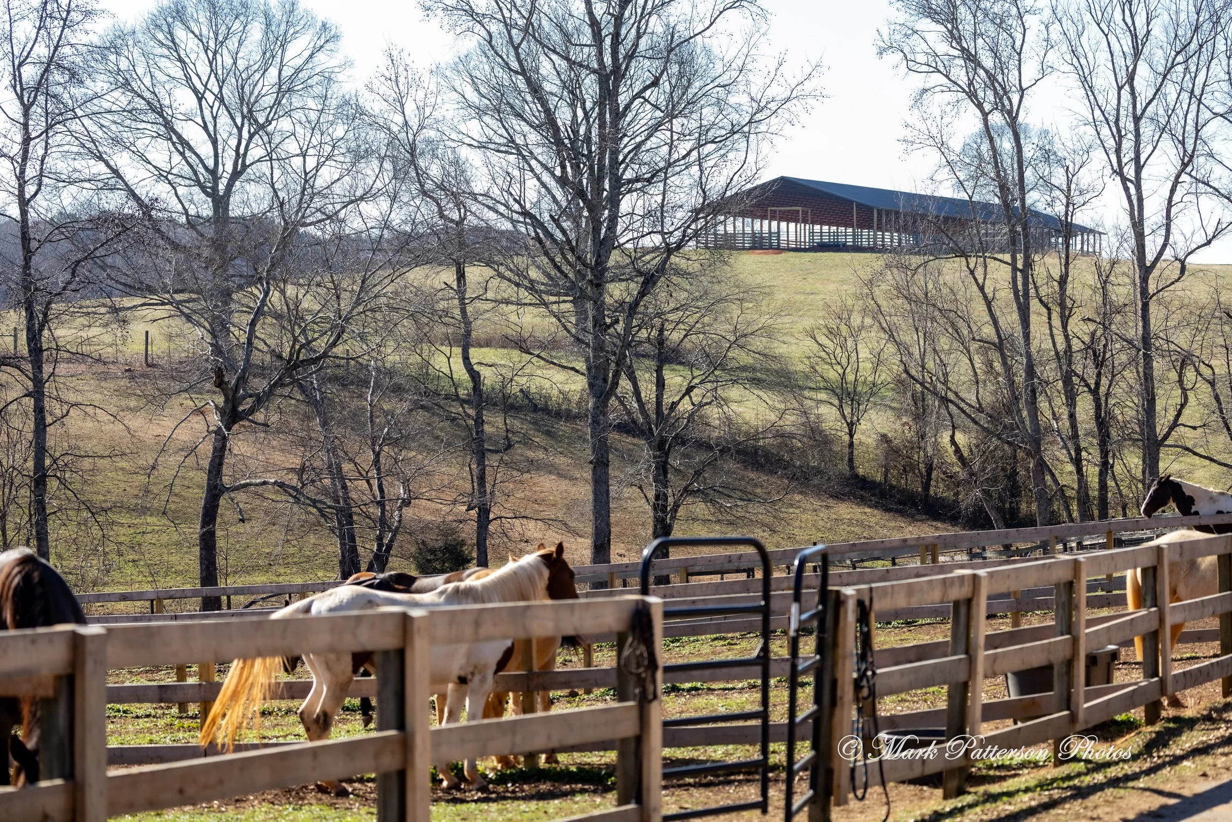 On January 4, 2026, family and friends gathered at the barrel racing event held at Latigo Farm in Landrum, SC. #17369