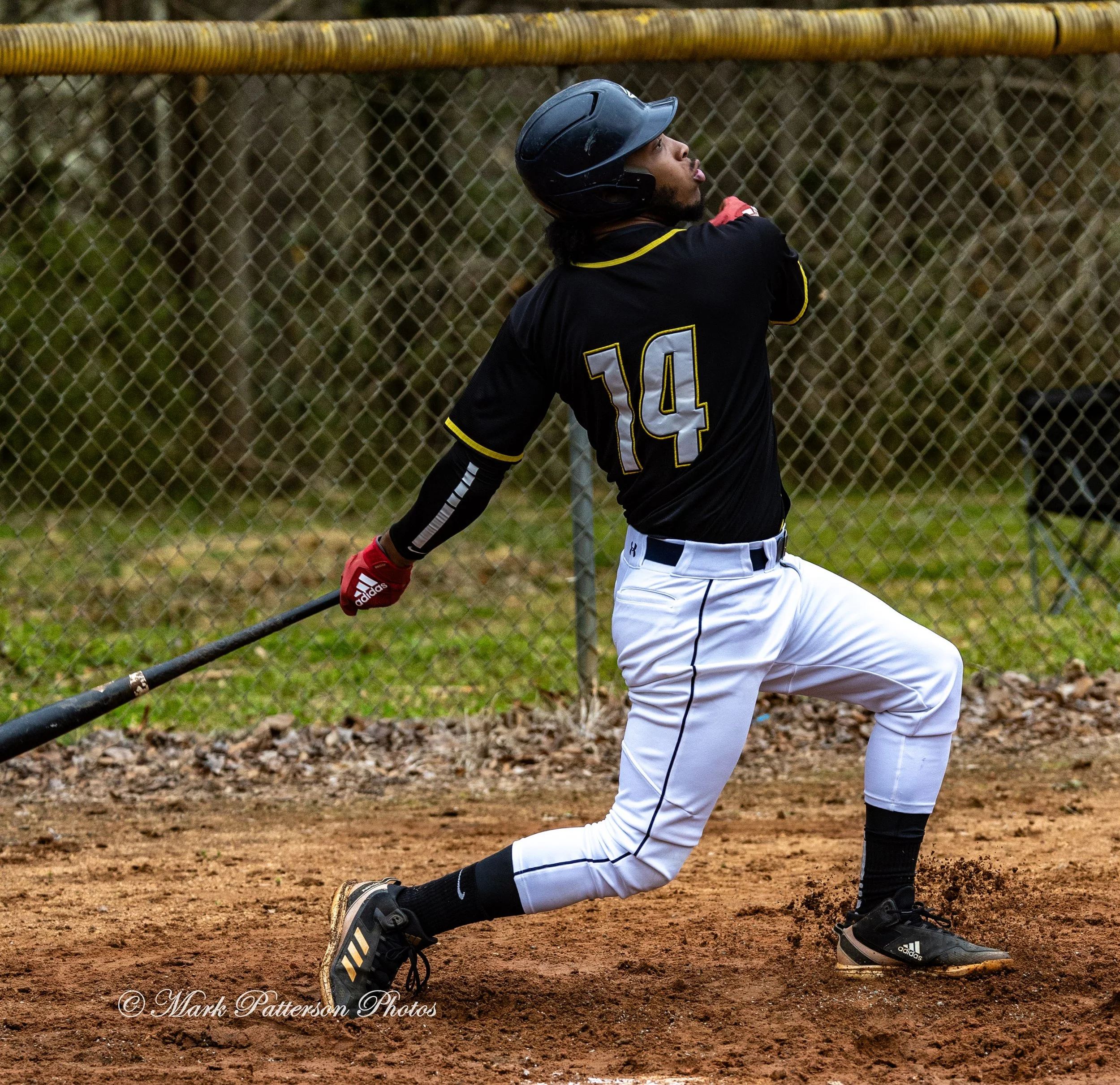 Greenville Pioneers vs Upstate Astros March 8, 2026, Pre-Season Tournament at Slater – White Park. #28401