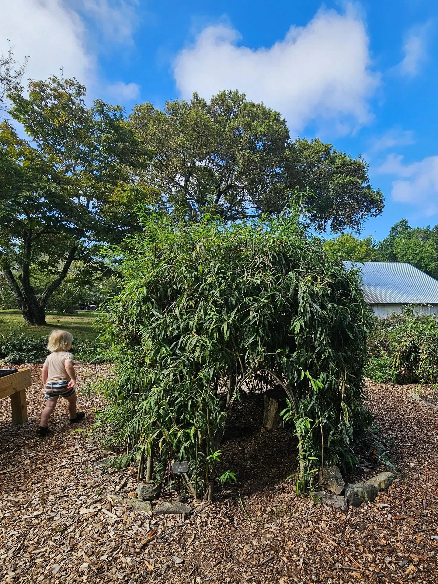 One of our favorite parts of Worldschooling is exploring new gardens full of native plants! This one even had a children&rsquo;s garden. 🌼 🌱 🐝