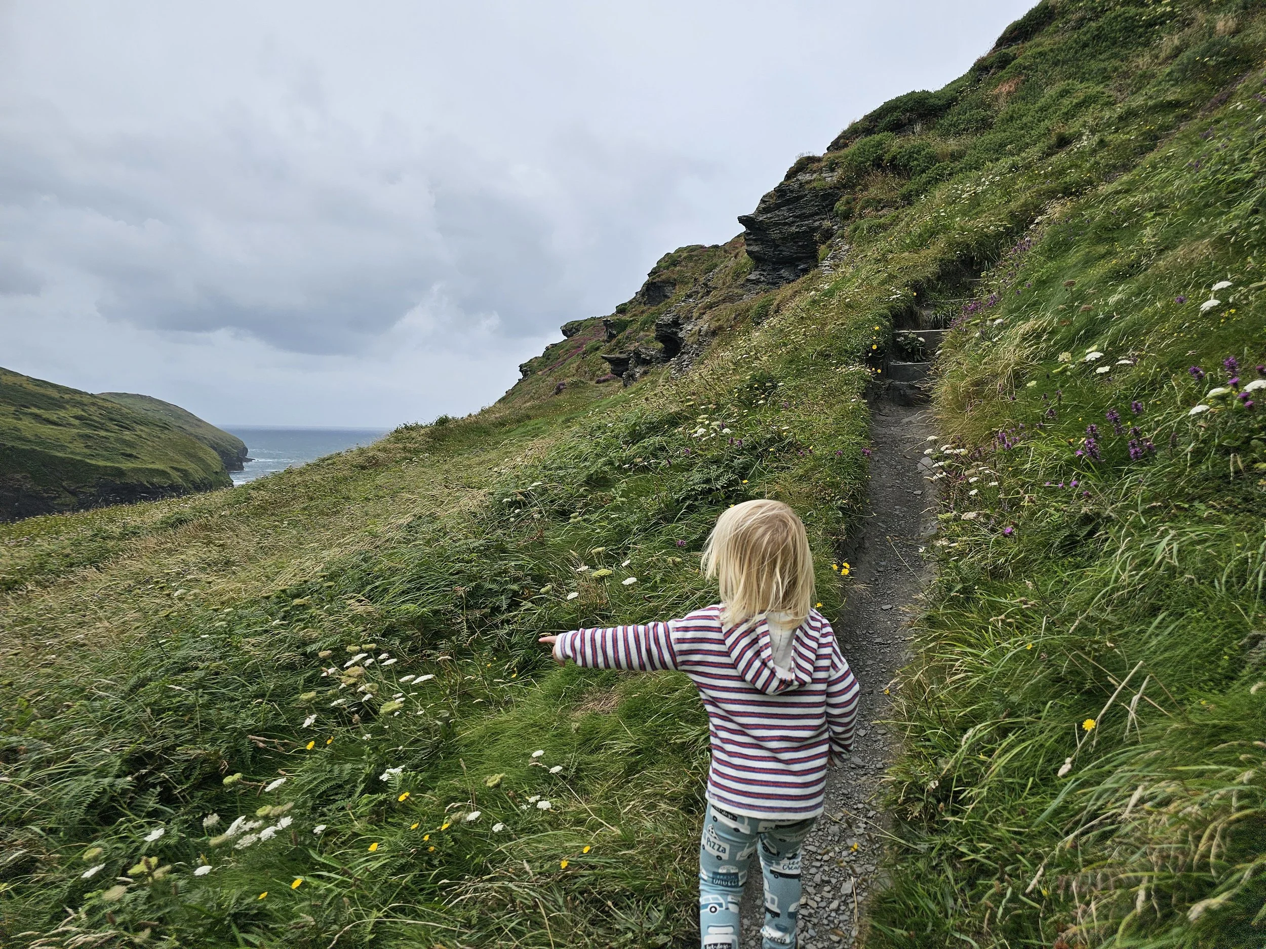 How to Find Walks That Actually Work for Kids