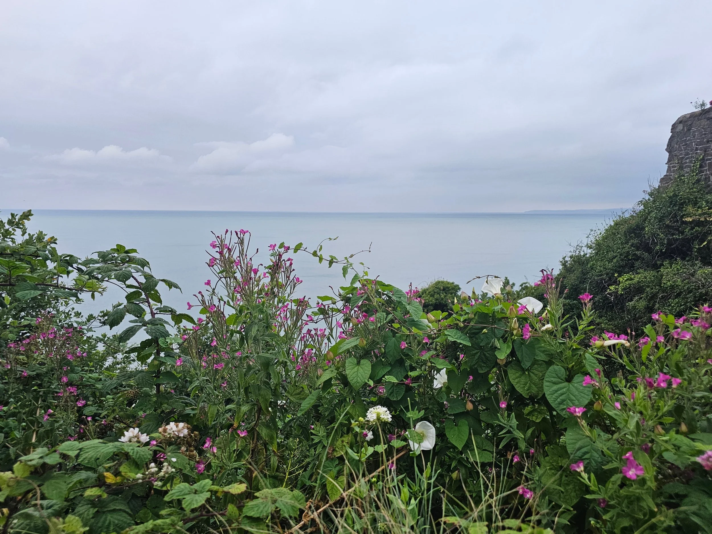 A Beginner’s Guide to Worldschooling