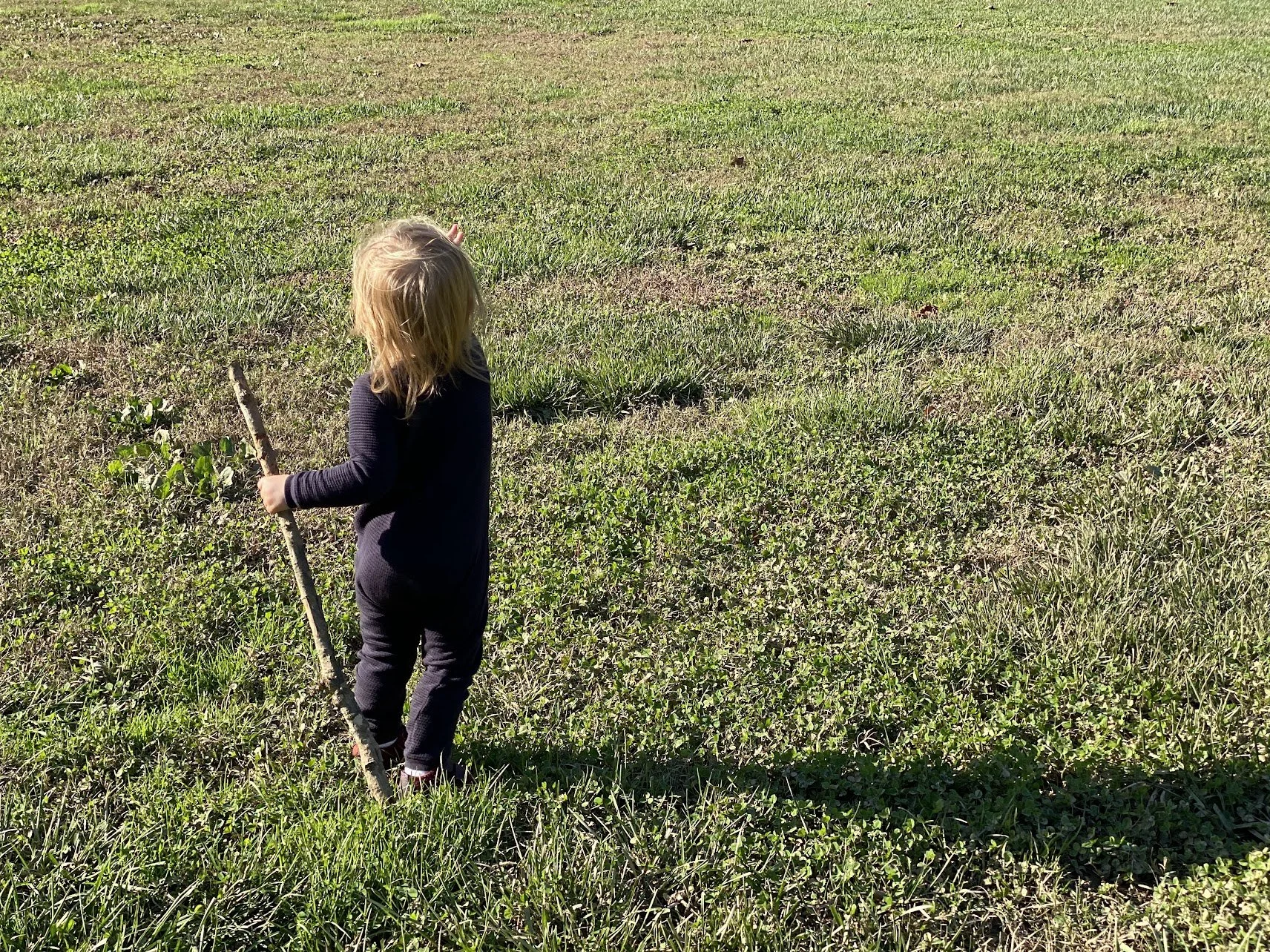 Places That Help Kids Notice Asheville