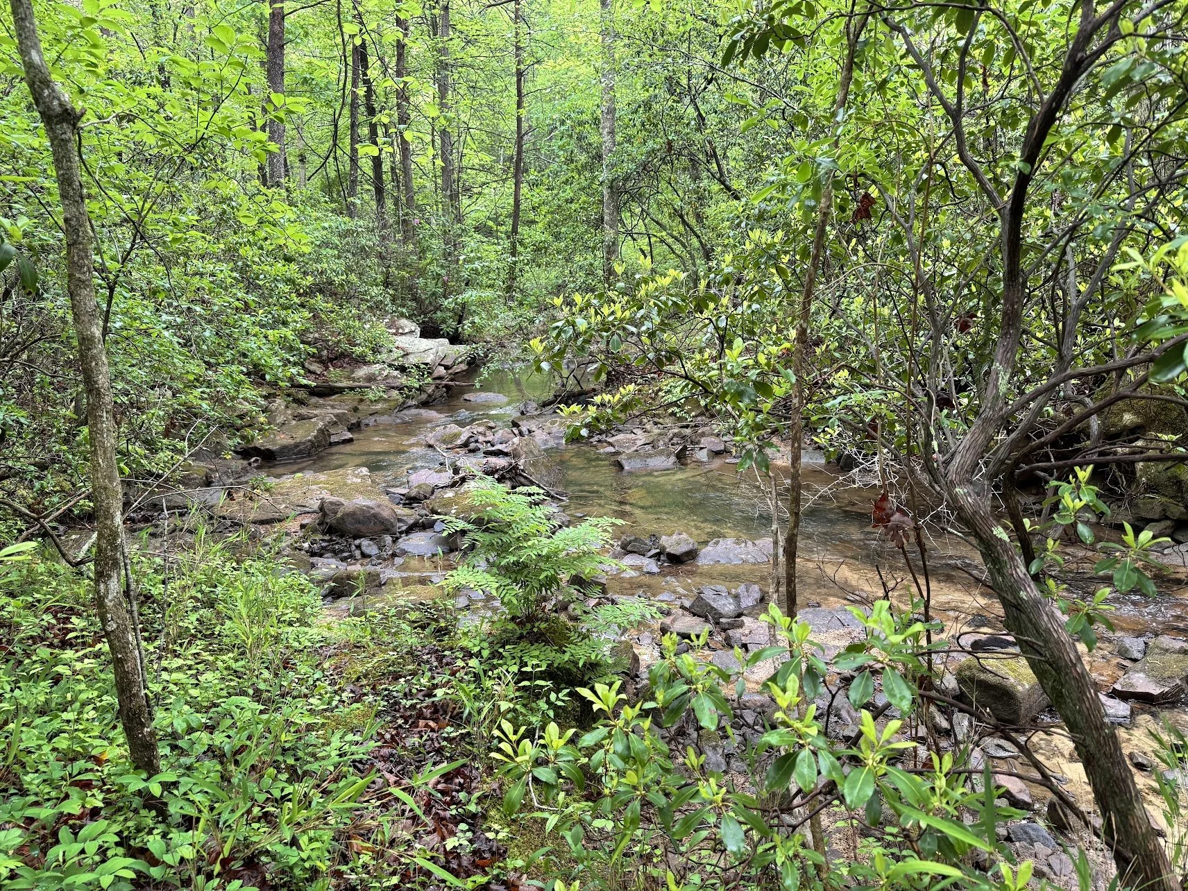 Creek and River Stops Near Asheville with Kids