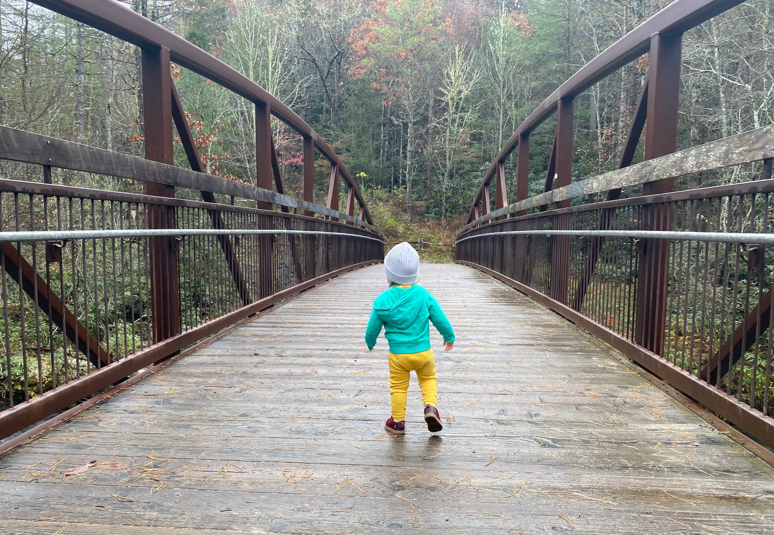 DuPont State Recreational Forest With Kids
