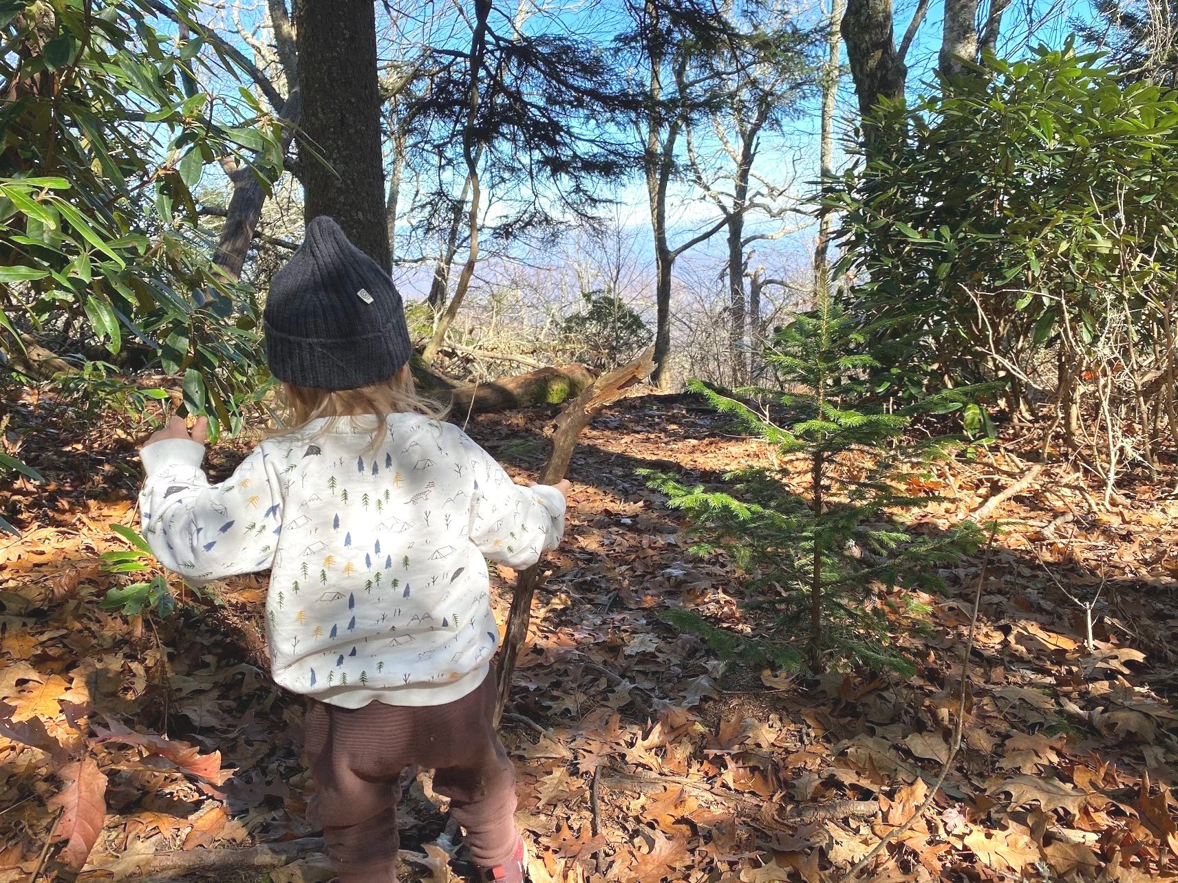 A Slower Day in Asheville with Kids