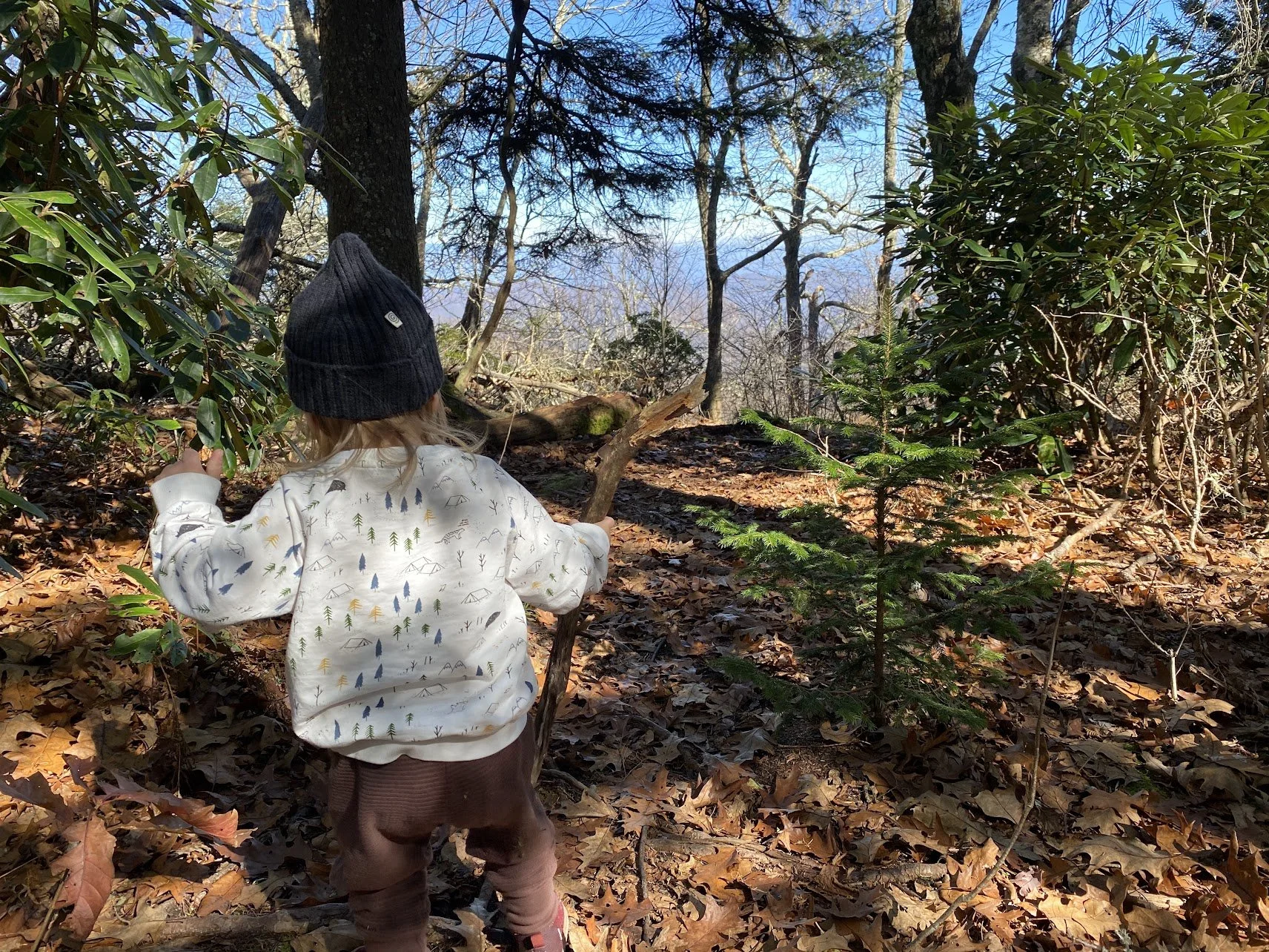 Child-holding-walking-stick-on-hike
