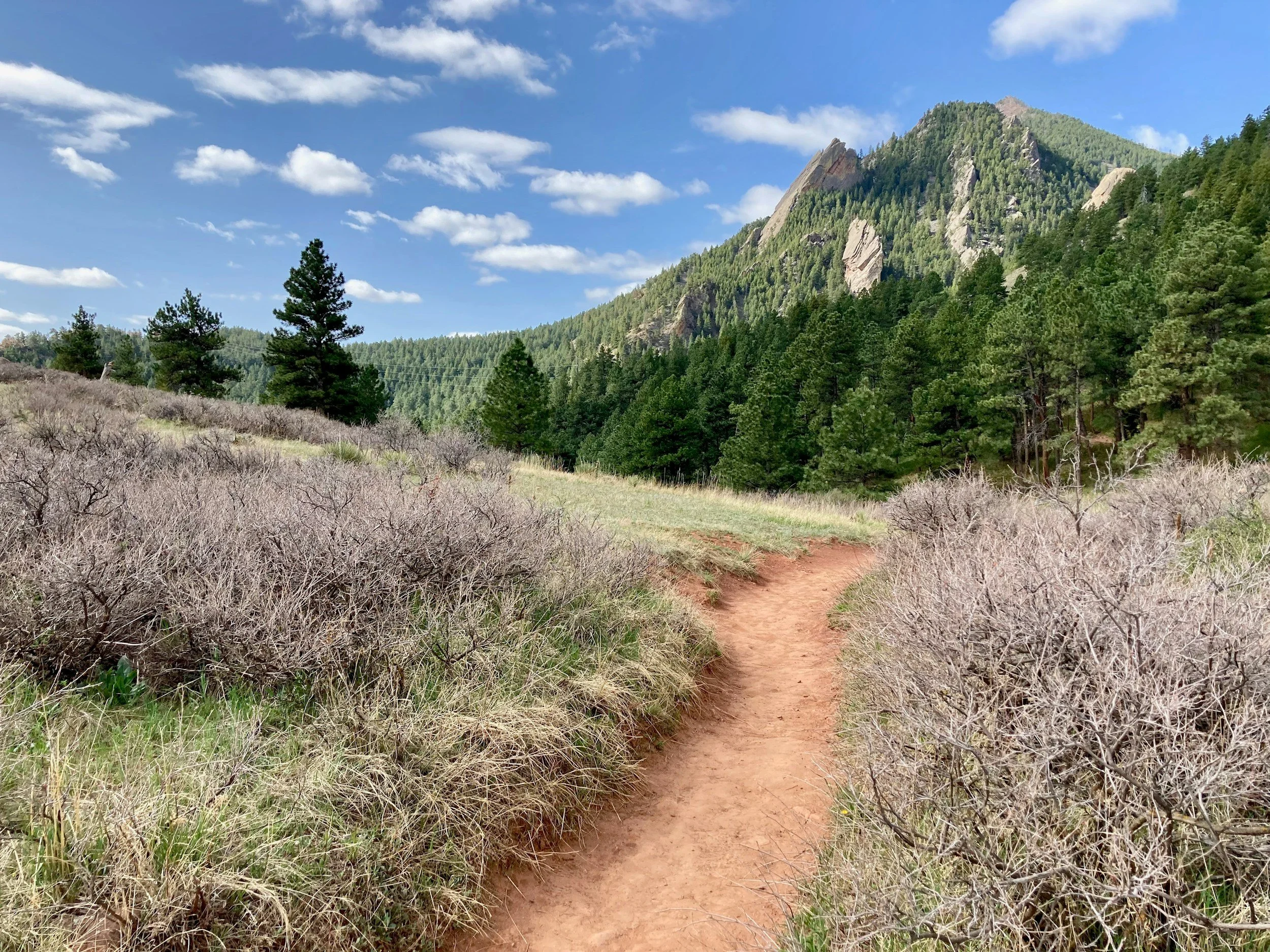 Out of the Office: The Benefits of Walk and Talk Therapy in Denver