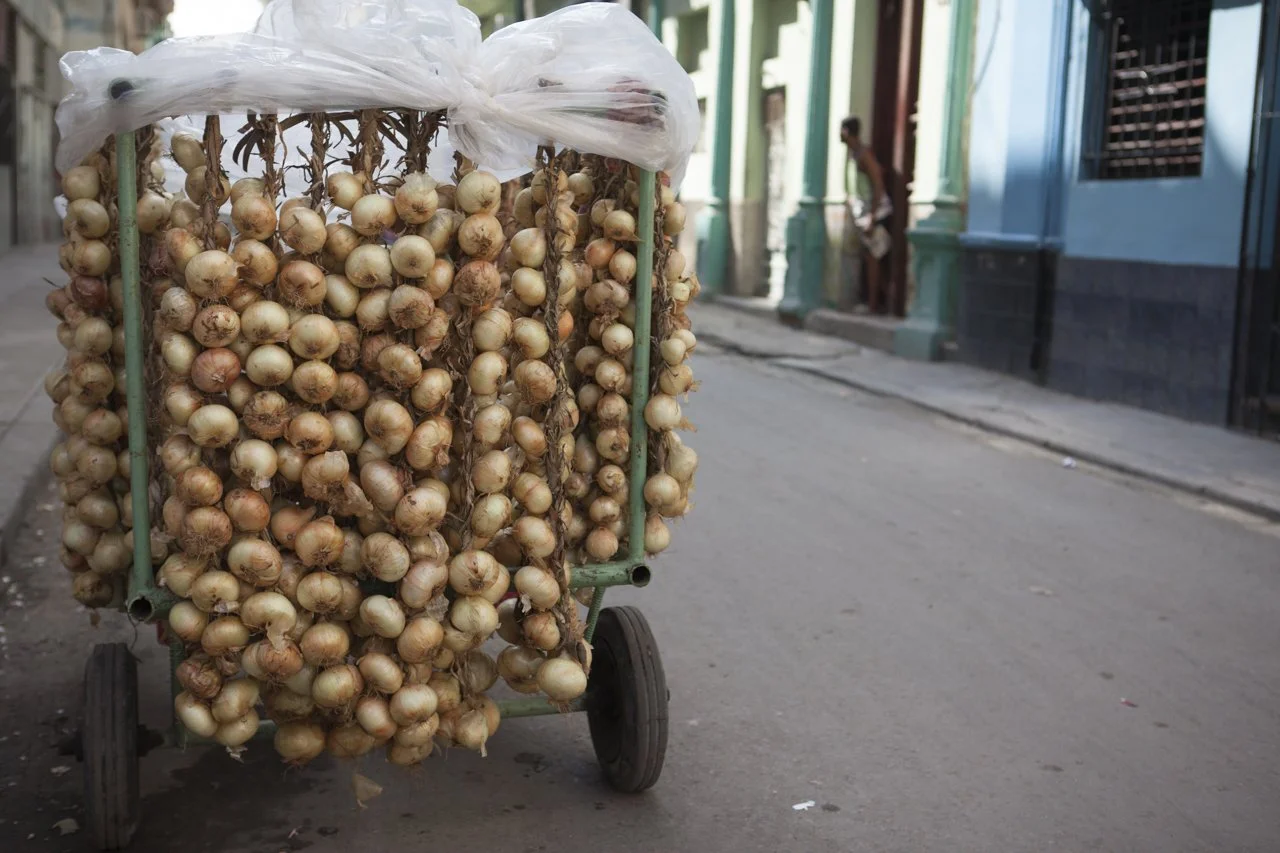 travel website-2481.jpg