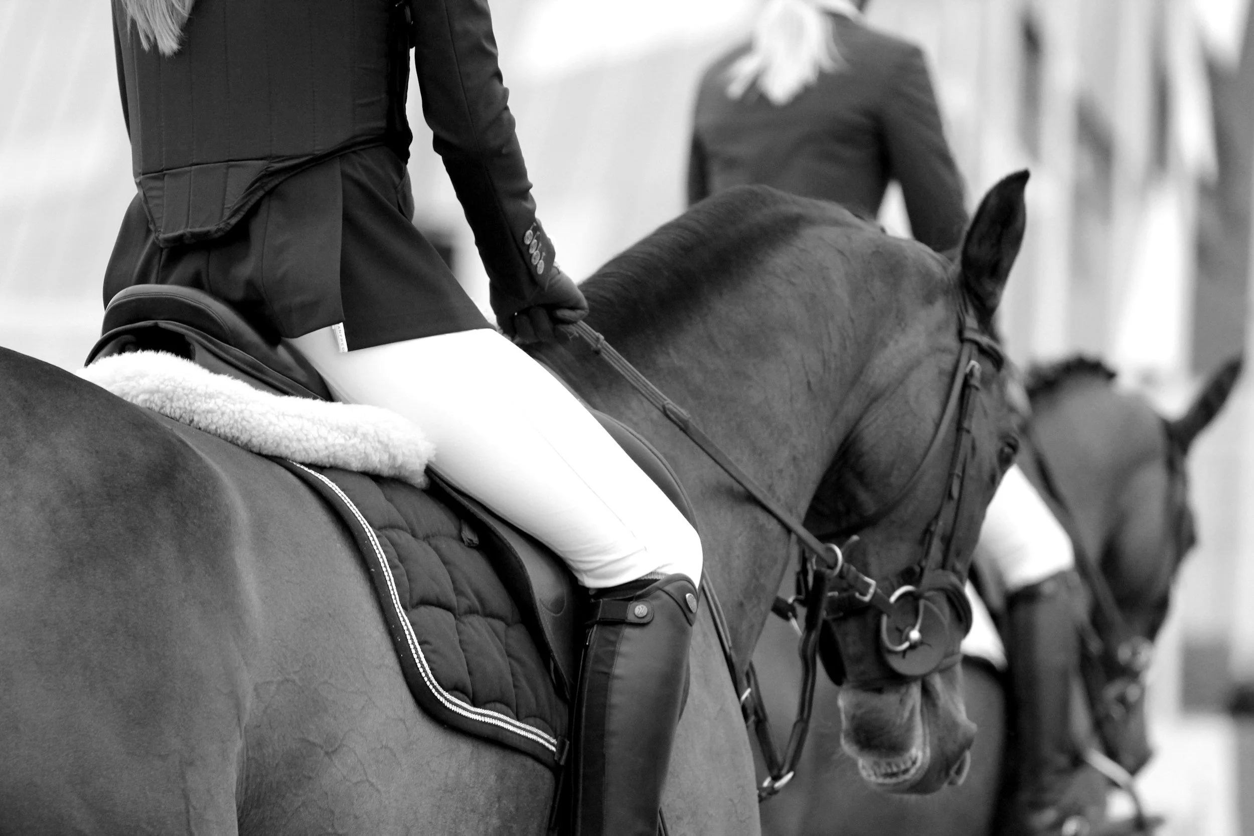 Close-up of an equestrian in formal riding attire on horseback, with other riders and horses visible in the background at an indoor riding arena.