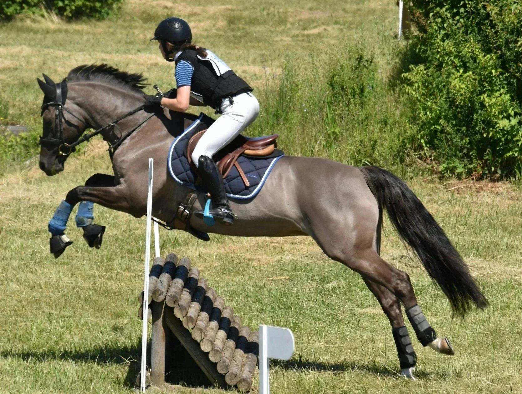 The Life-Changing Benefits of Horseback Riding Lessons: Why Your Investment is Worth Every Penny
