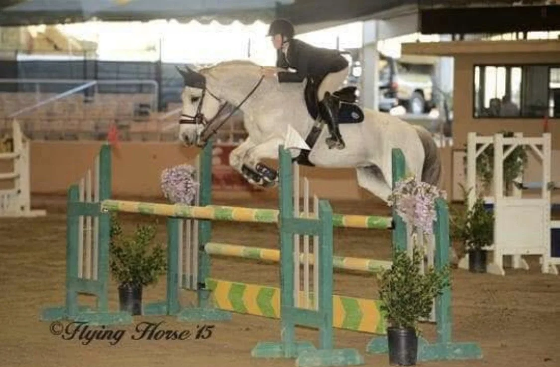 A rider in black equestrian attire riding a white horse over a show jumping obstacle. The scene takes place in an indoor arena decorated with flowers and potted plants.
