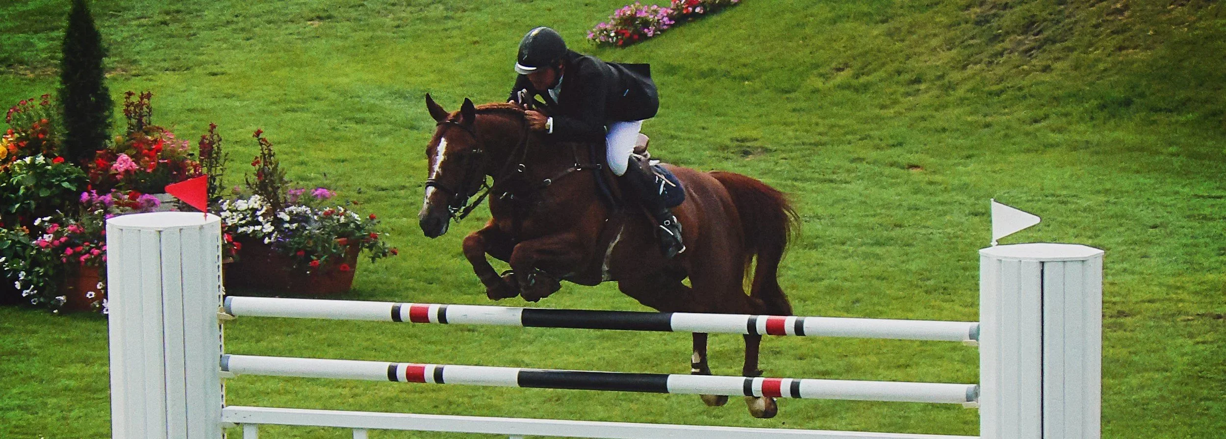 Top 5 Reasons You Don’t Need Loss of Use Insurance for Your Horse