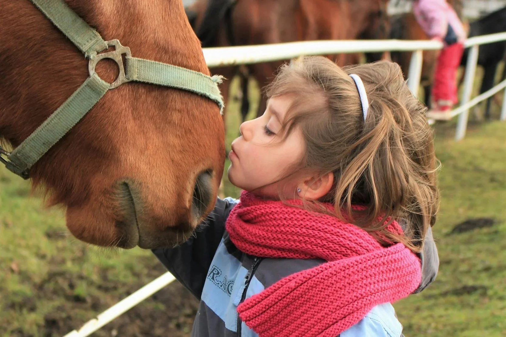Top 10 Things to Look for When Choosing Riding Lessons