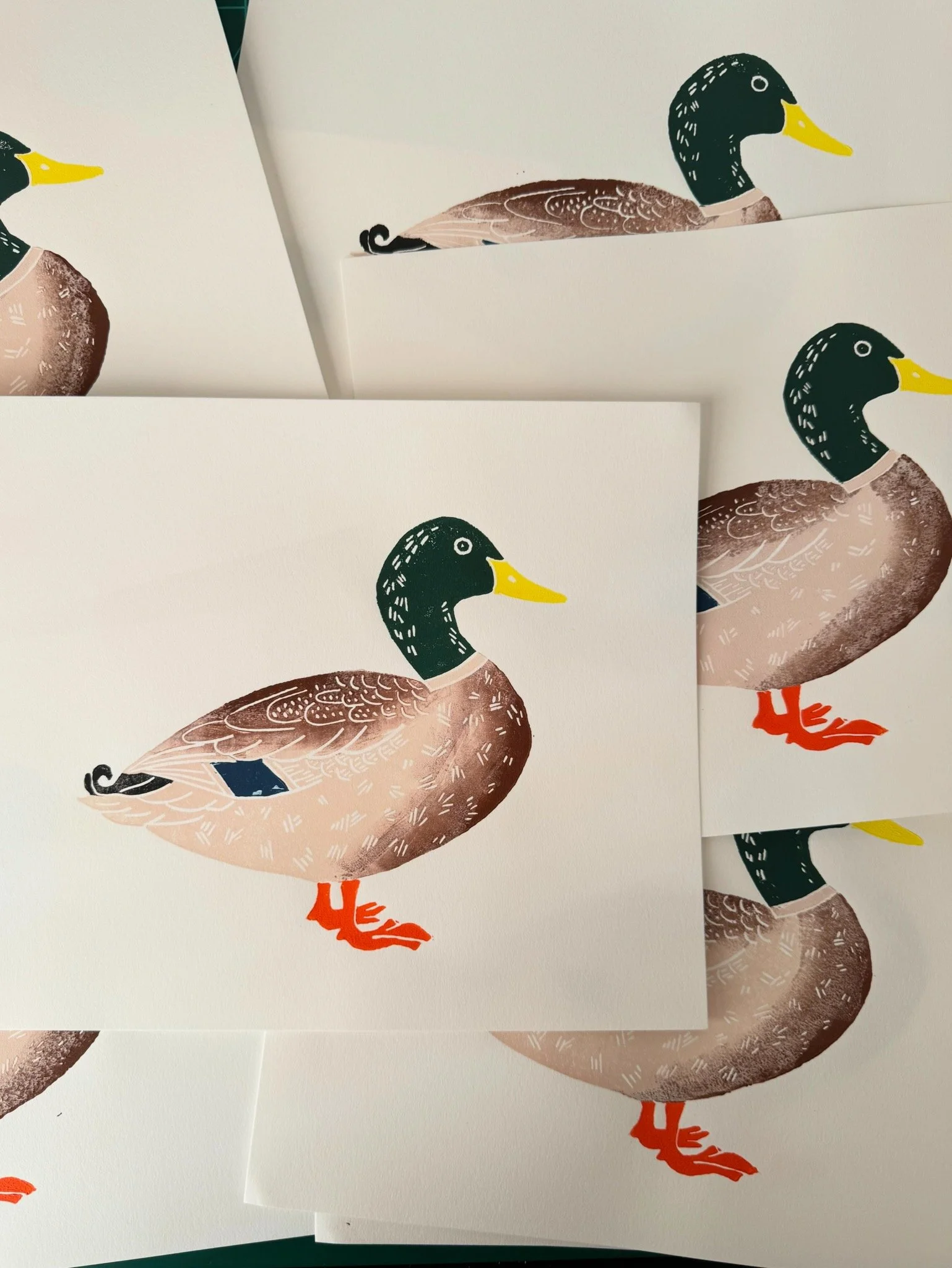 Jessica Leitch Mallard.JPG