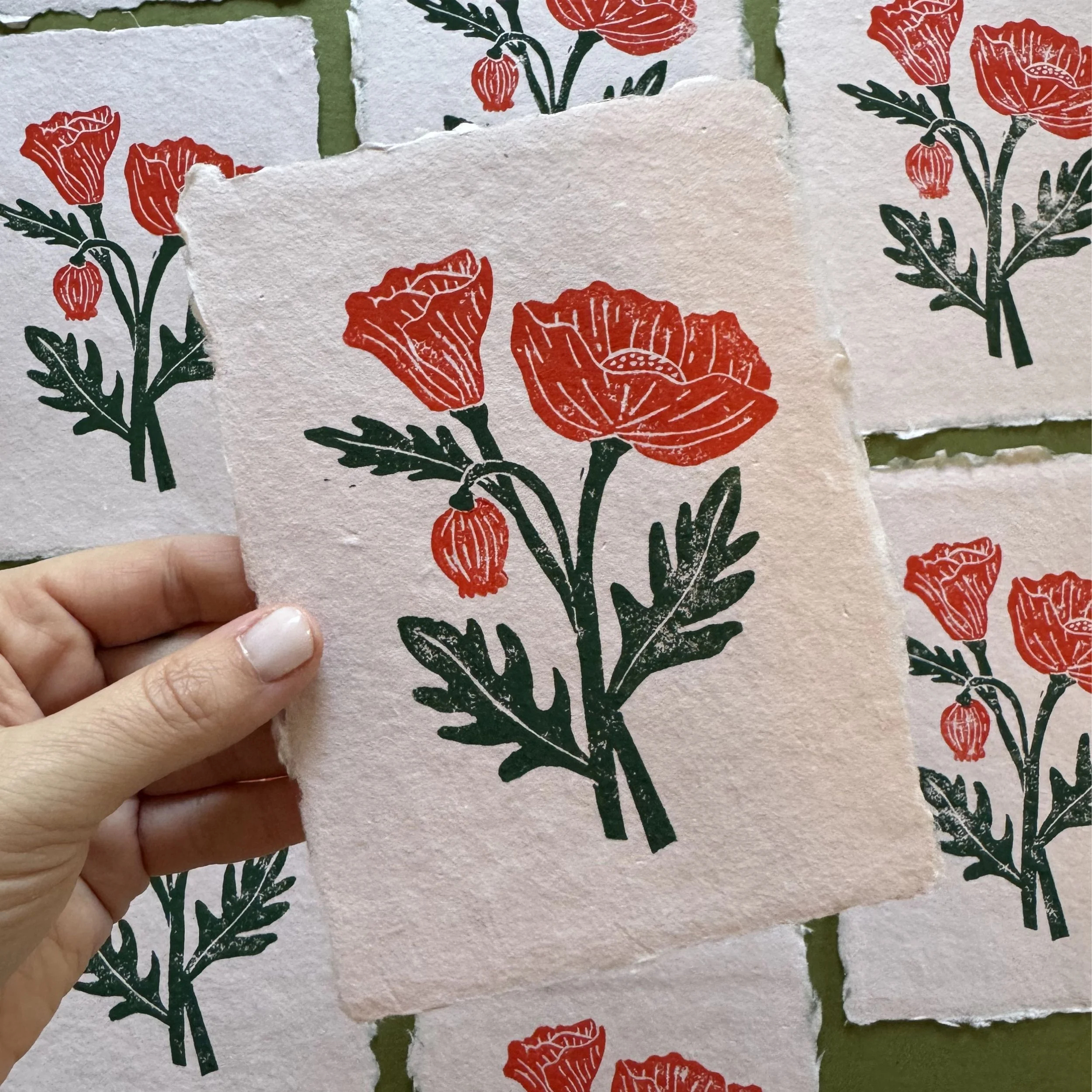 Poppies on Pink Print
