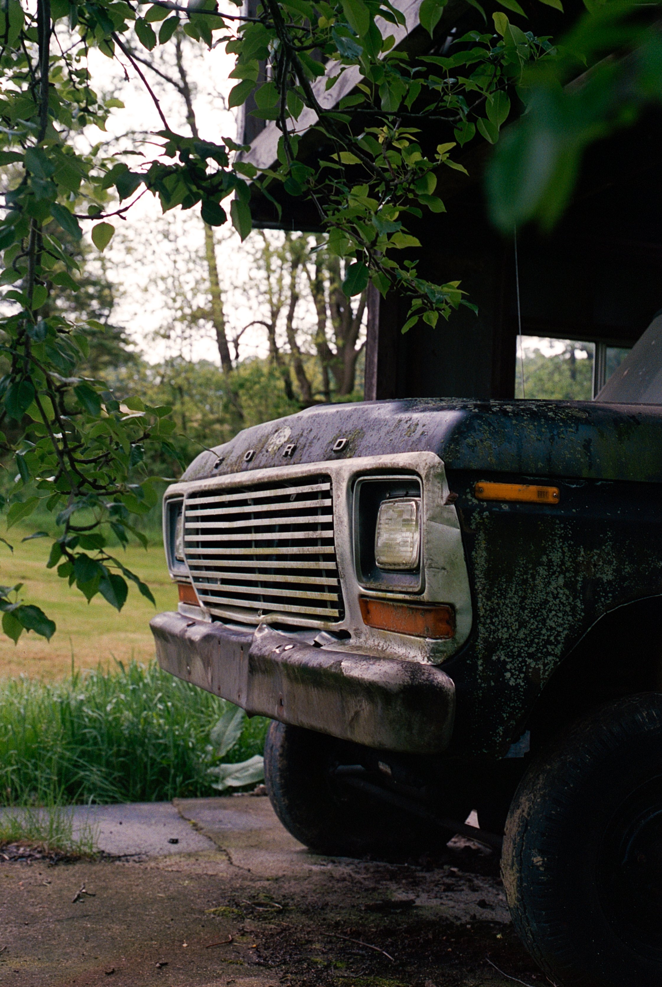 The House+Memories_565.jpg