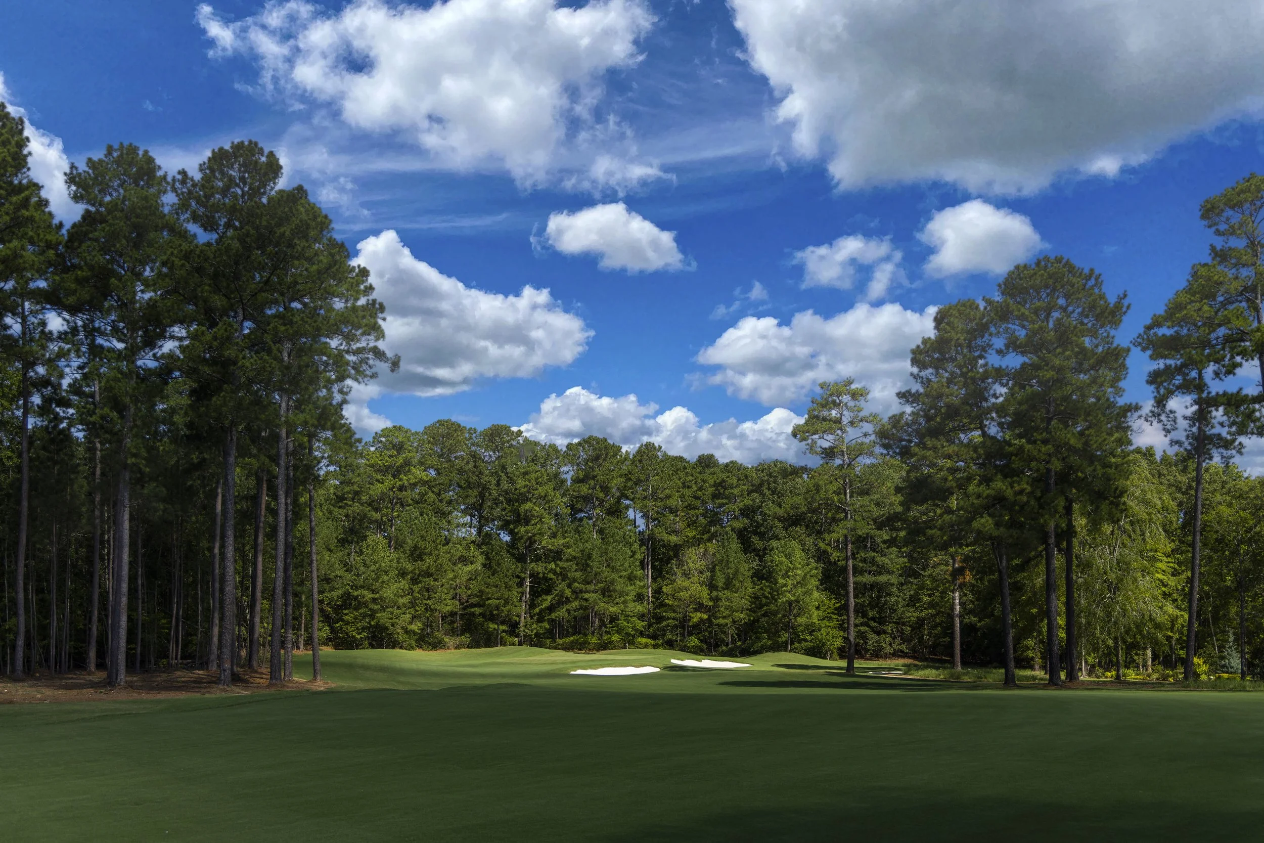 A golf course surrounded by tall pine trees under a partly cloudy sky.
