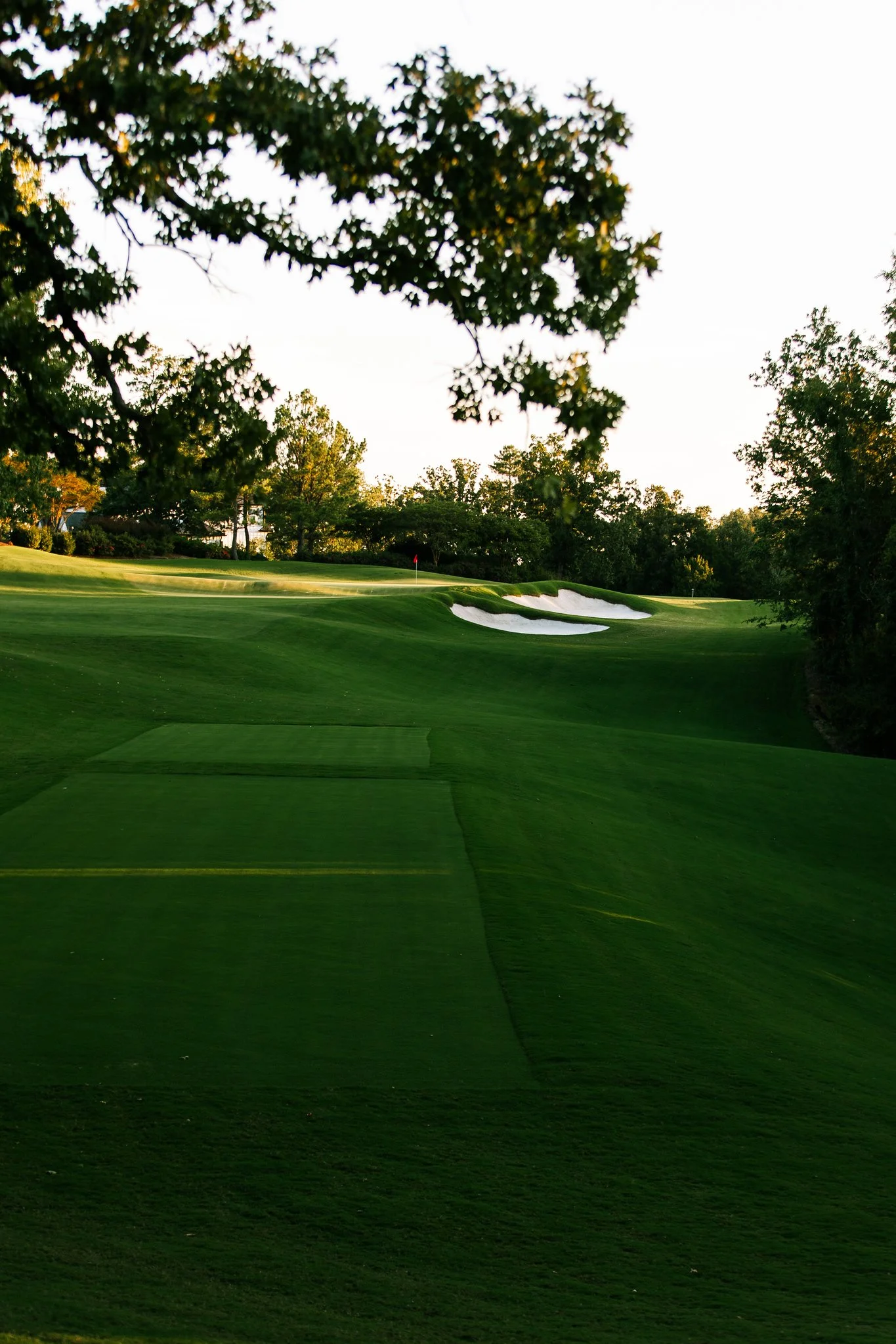 A golf course with green fairway, sand bunkers, and trees in the background, under daylight.