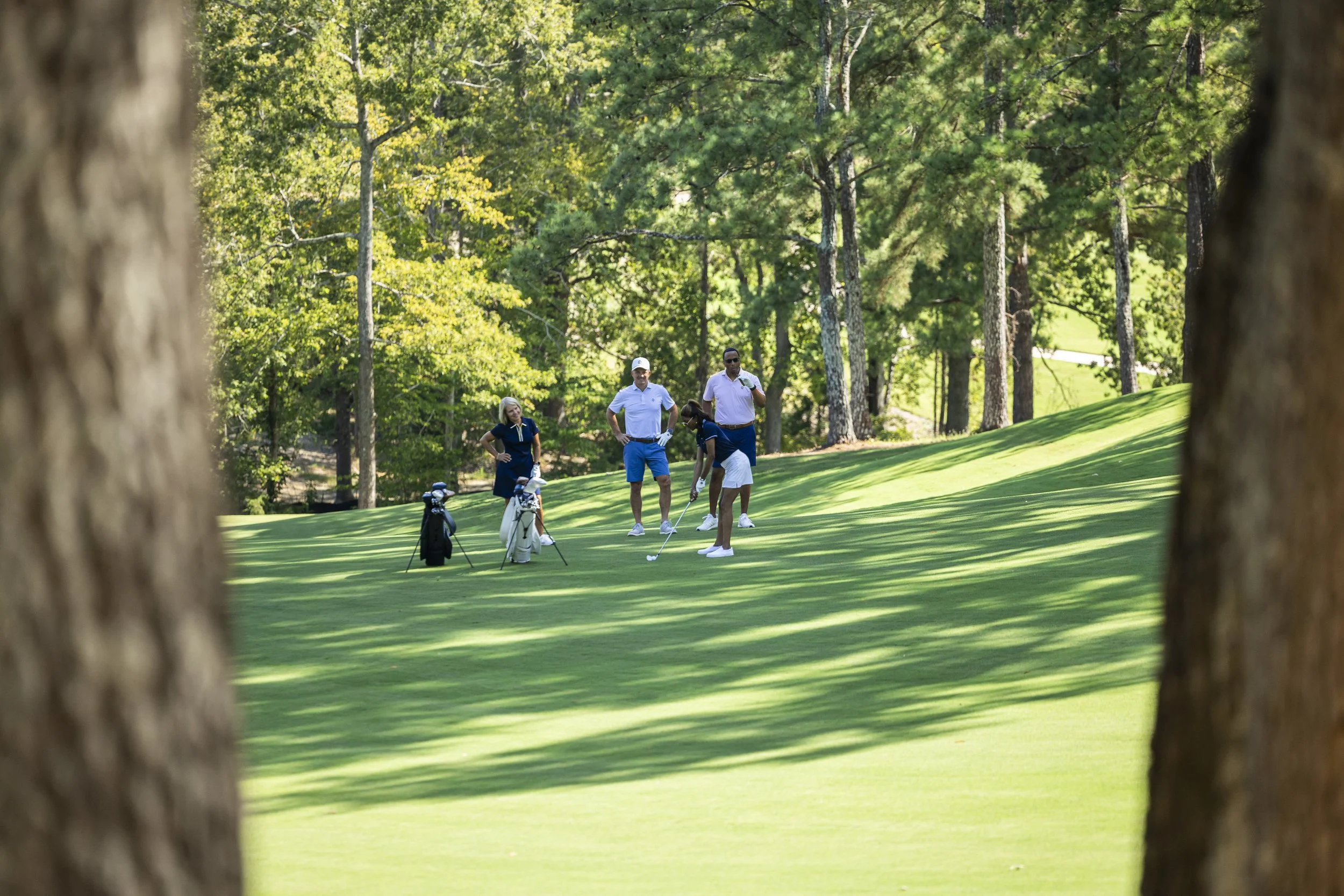 Four people standing on a golf course preparing to hit balls, surrounded by trees and lush greenery.