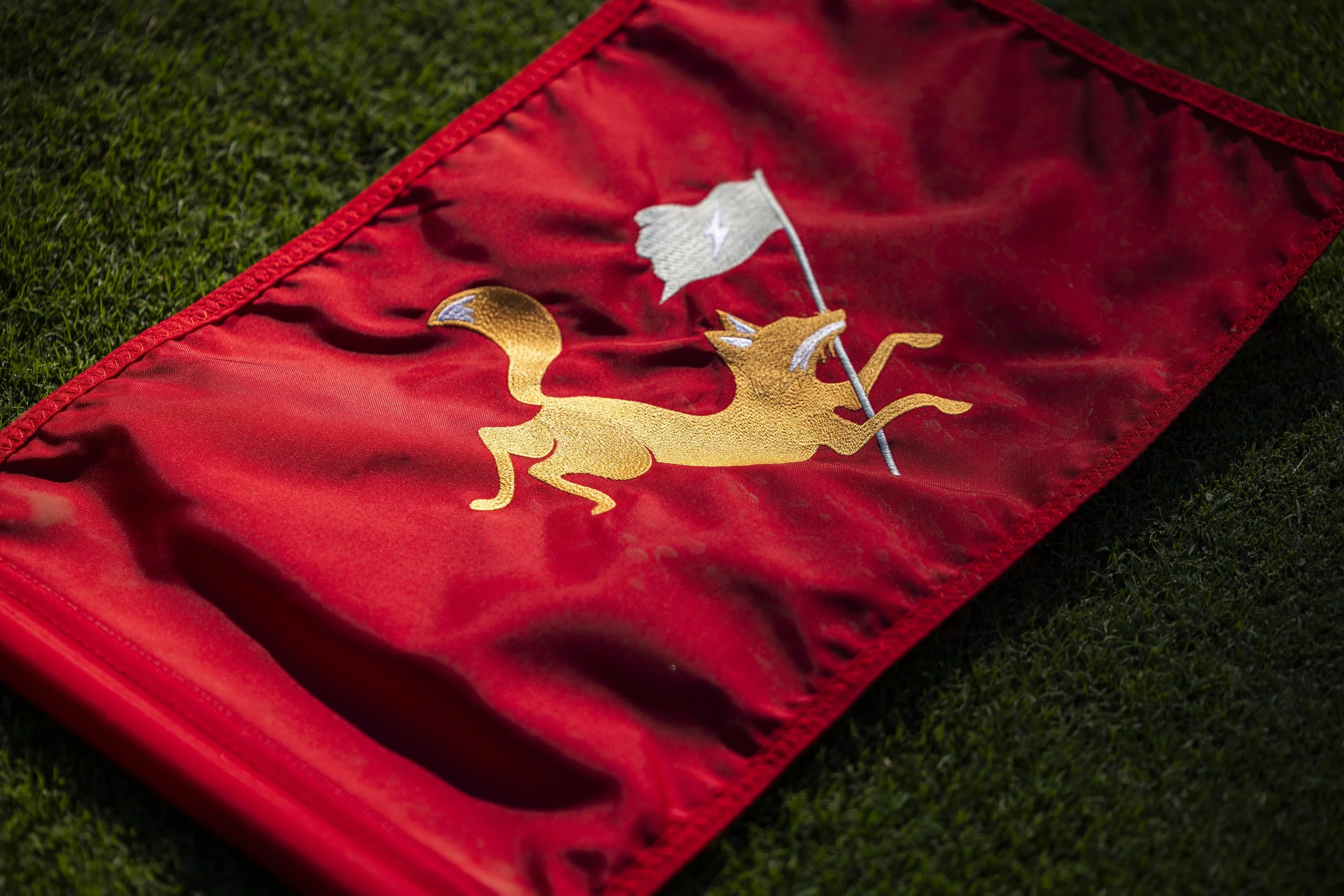 Red flag with an embroidered golden lion and a white castle, lying on green grass.