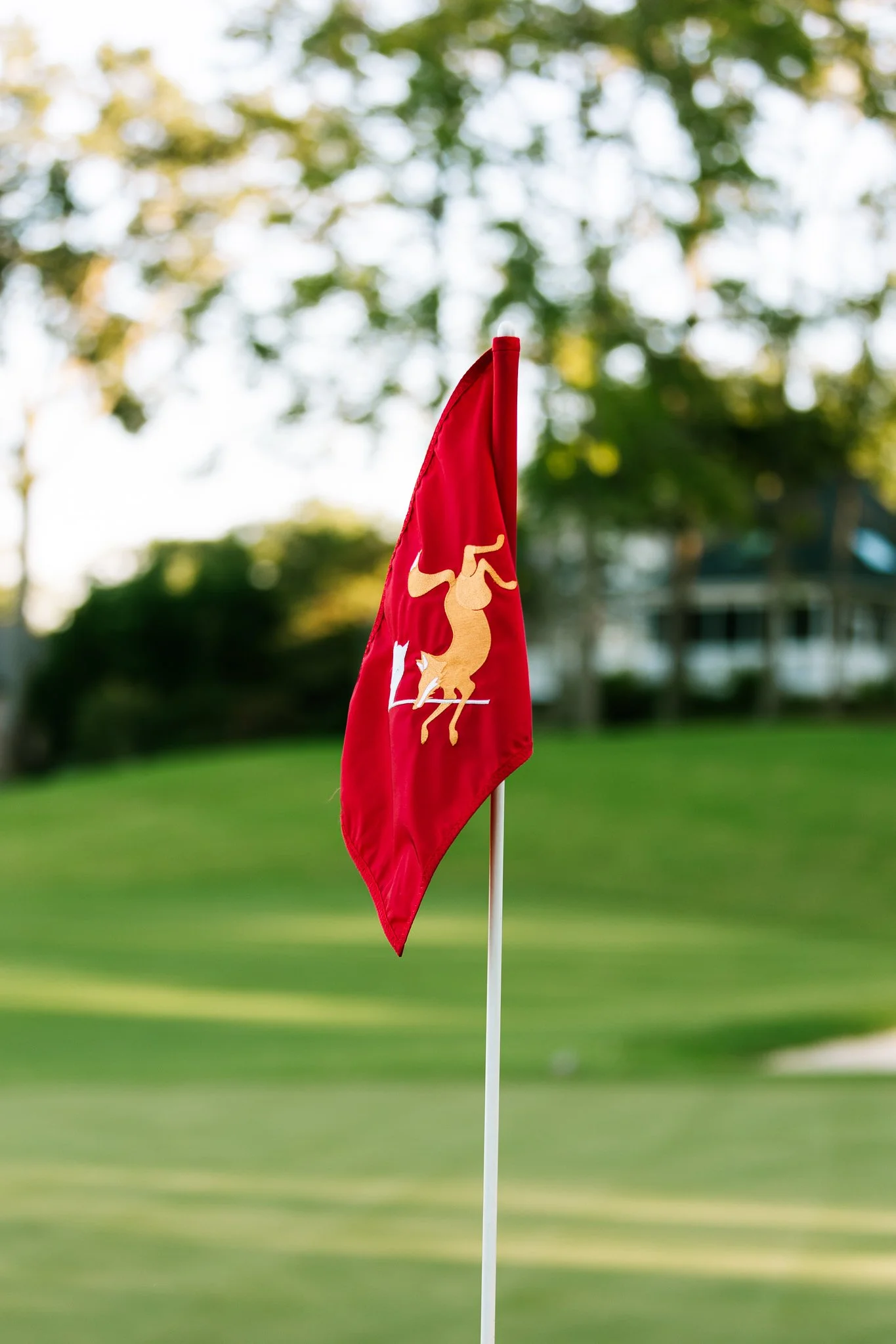 A red flag with a yellow dragon emblem on a golf course with green grass and trees in the background.