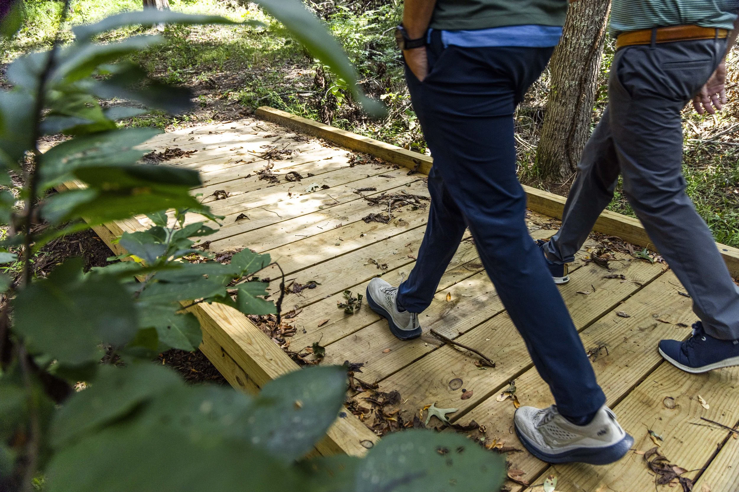 Two people walking on a newly built wooden footpath in a forest, with trees and green foliage around them.