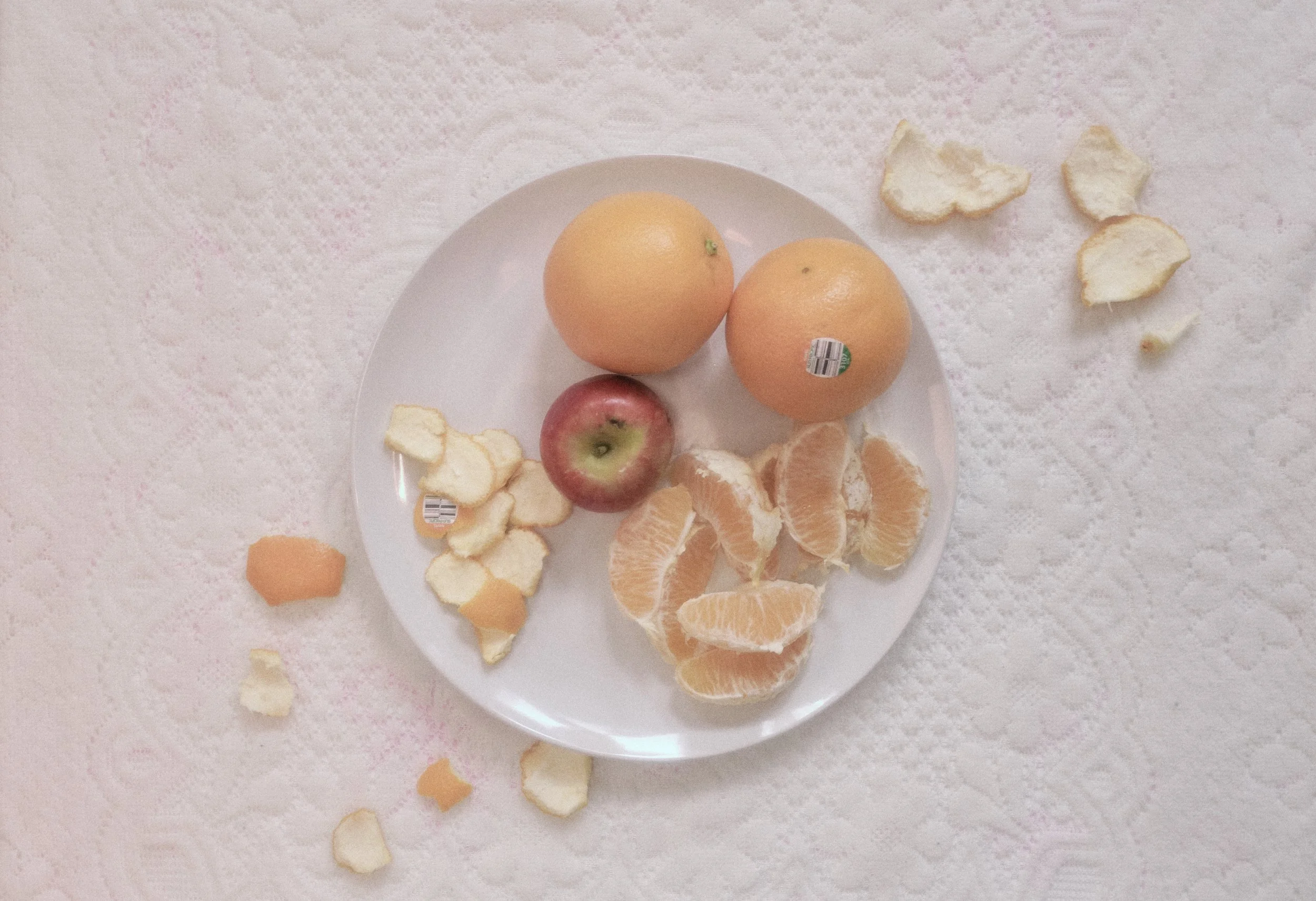 Peeled, 2026 
13 × 19” 