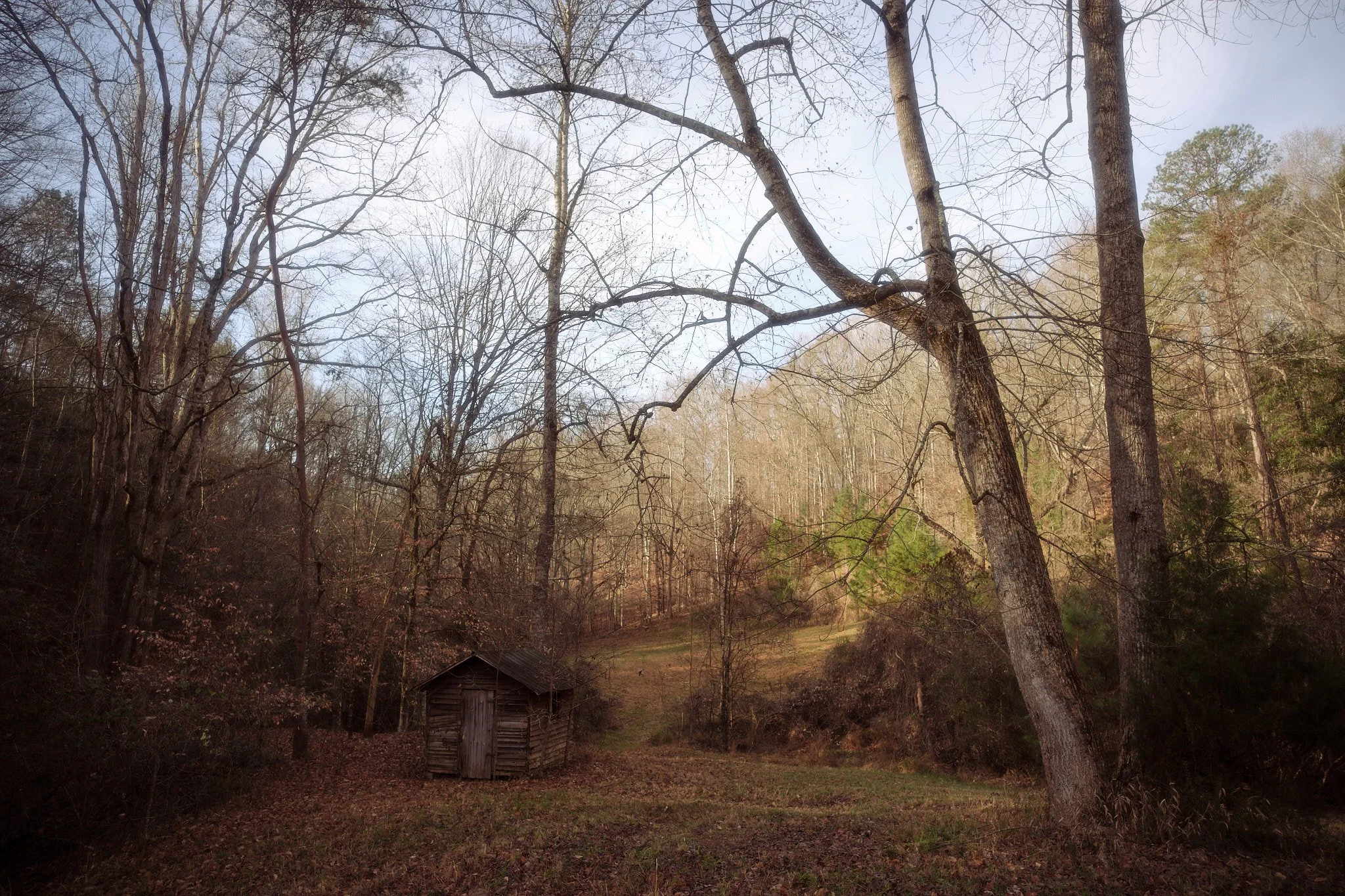 DSCF7104profile picture resume.jpg