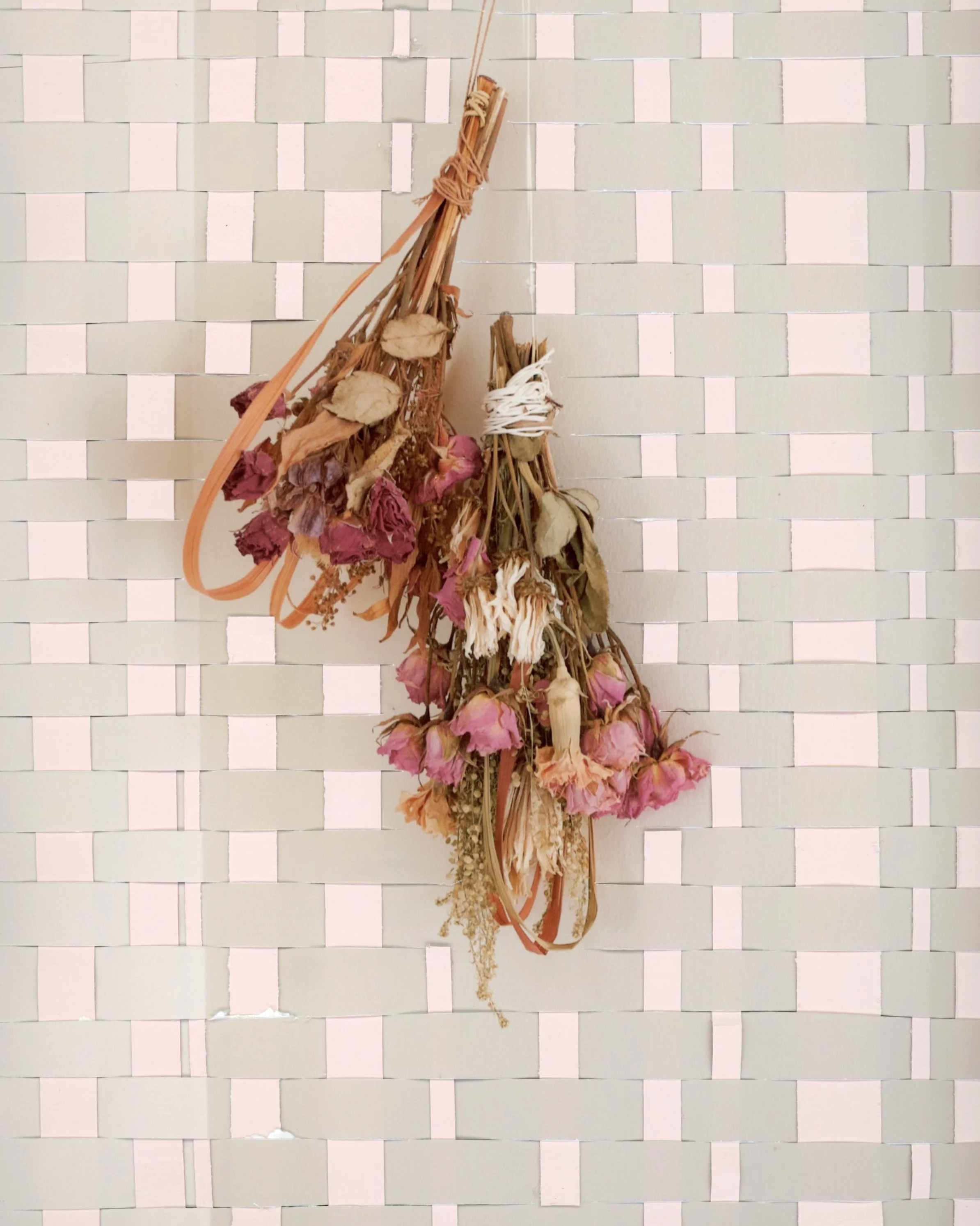 img20260327_12385656 3.jpg