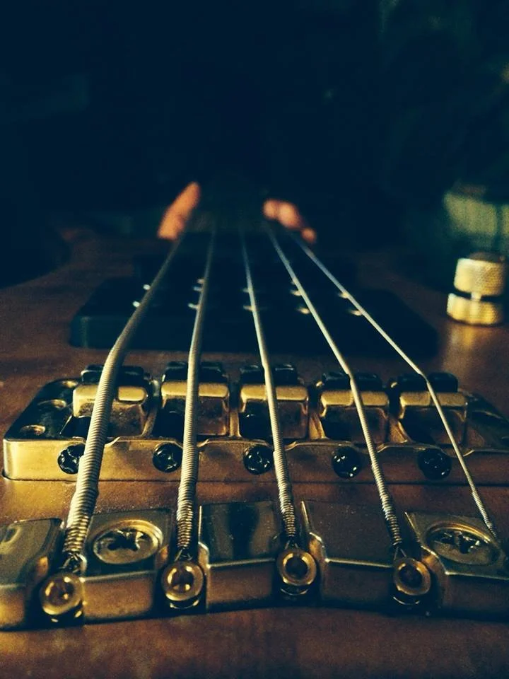 Close-up view of a stringed musical instrument, showing the bridge and strings from a low angle.