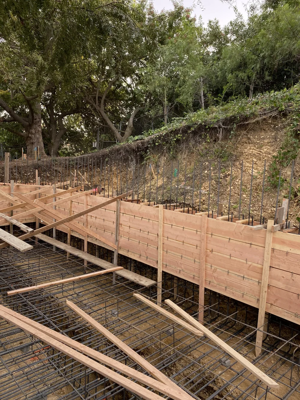 Forms and reinforcement prepared for site improvements