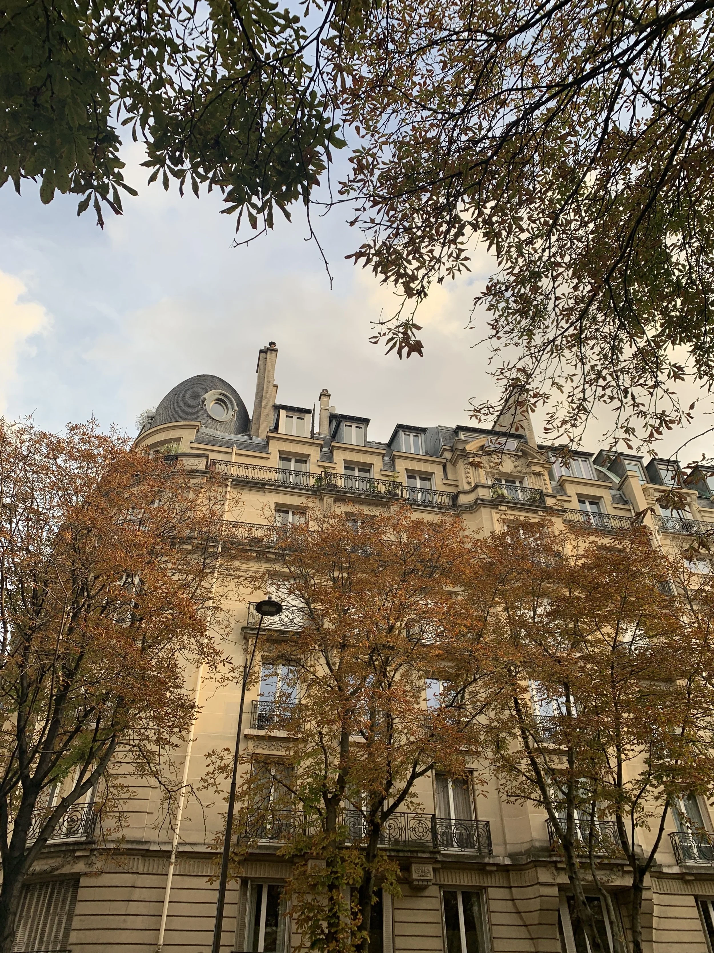 Note 04 - Fall Transition