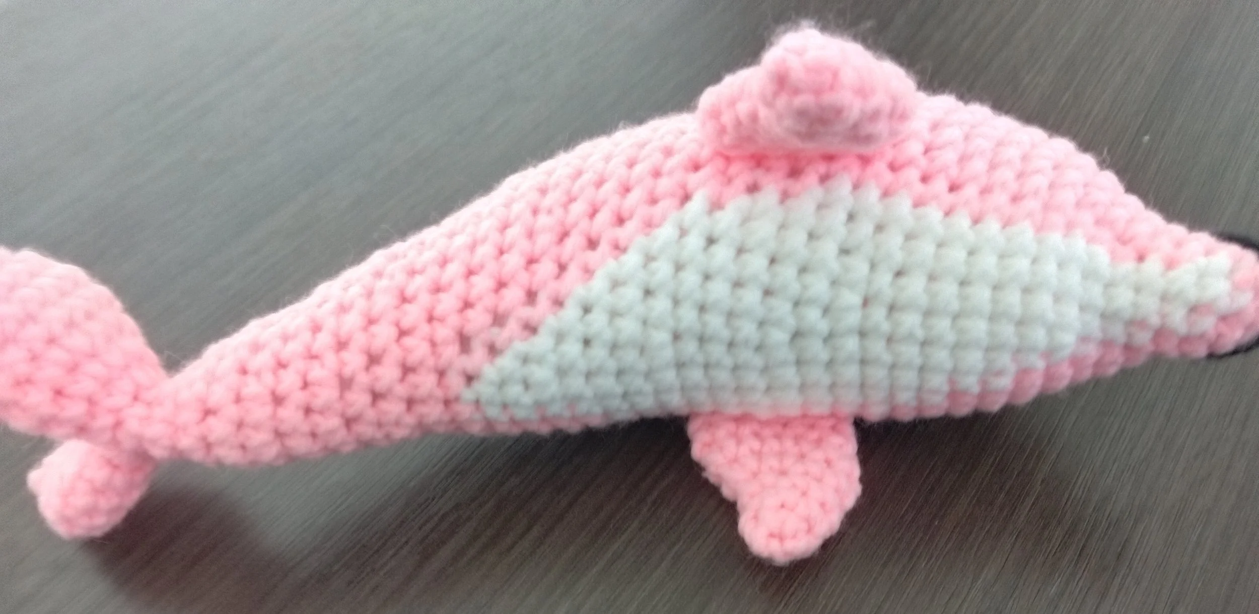 Dolly Dolphin2.jpg