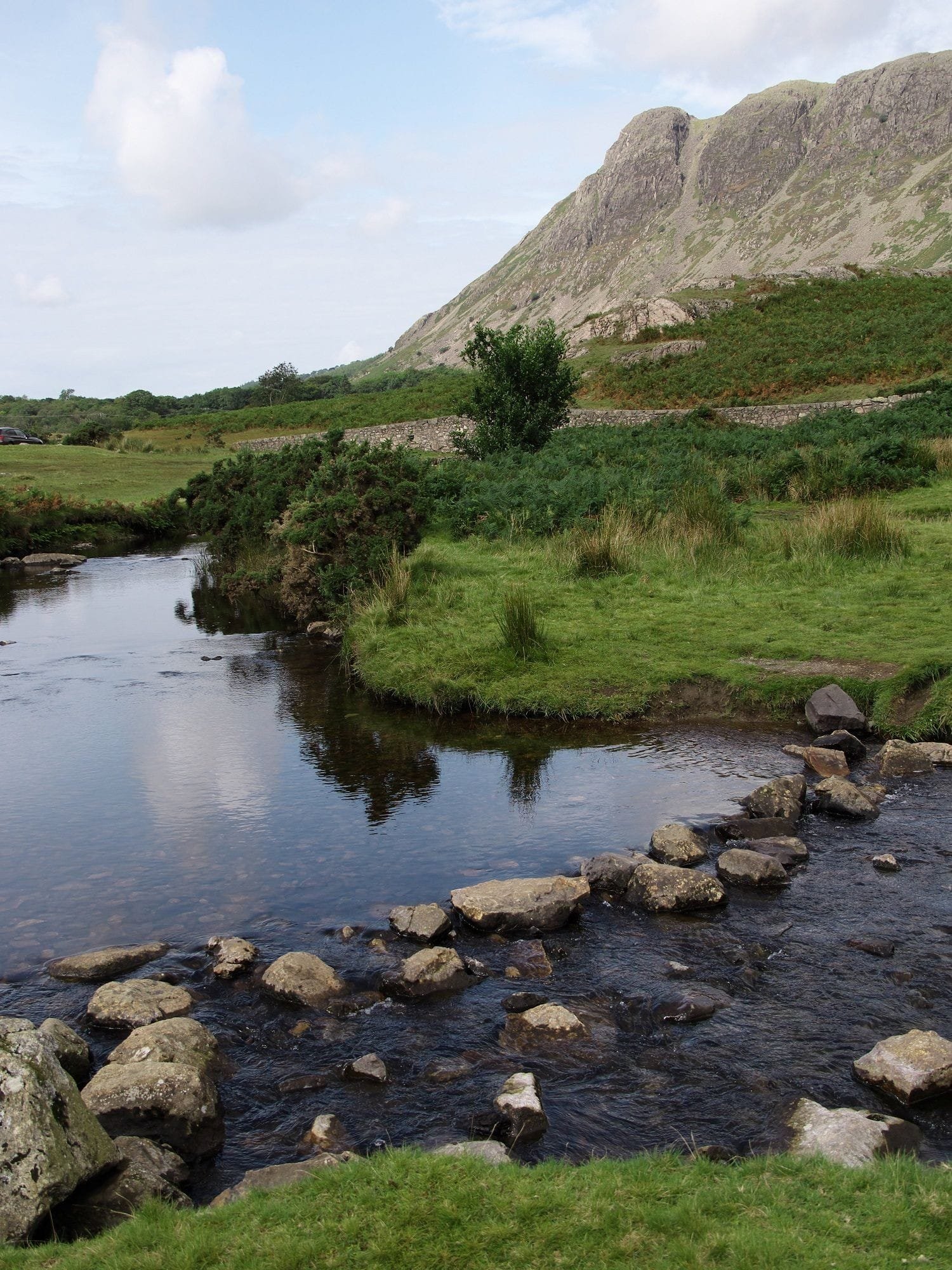 A small river flows through a grassy landscape with rocks in the foreground, a mountain in the background, and a partly cloudy sky.