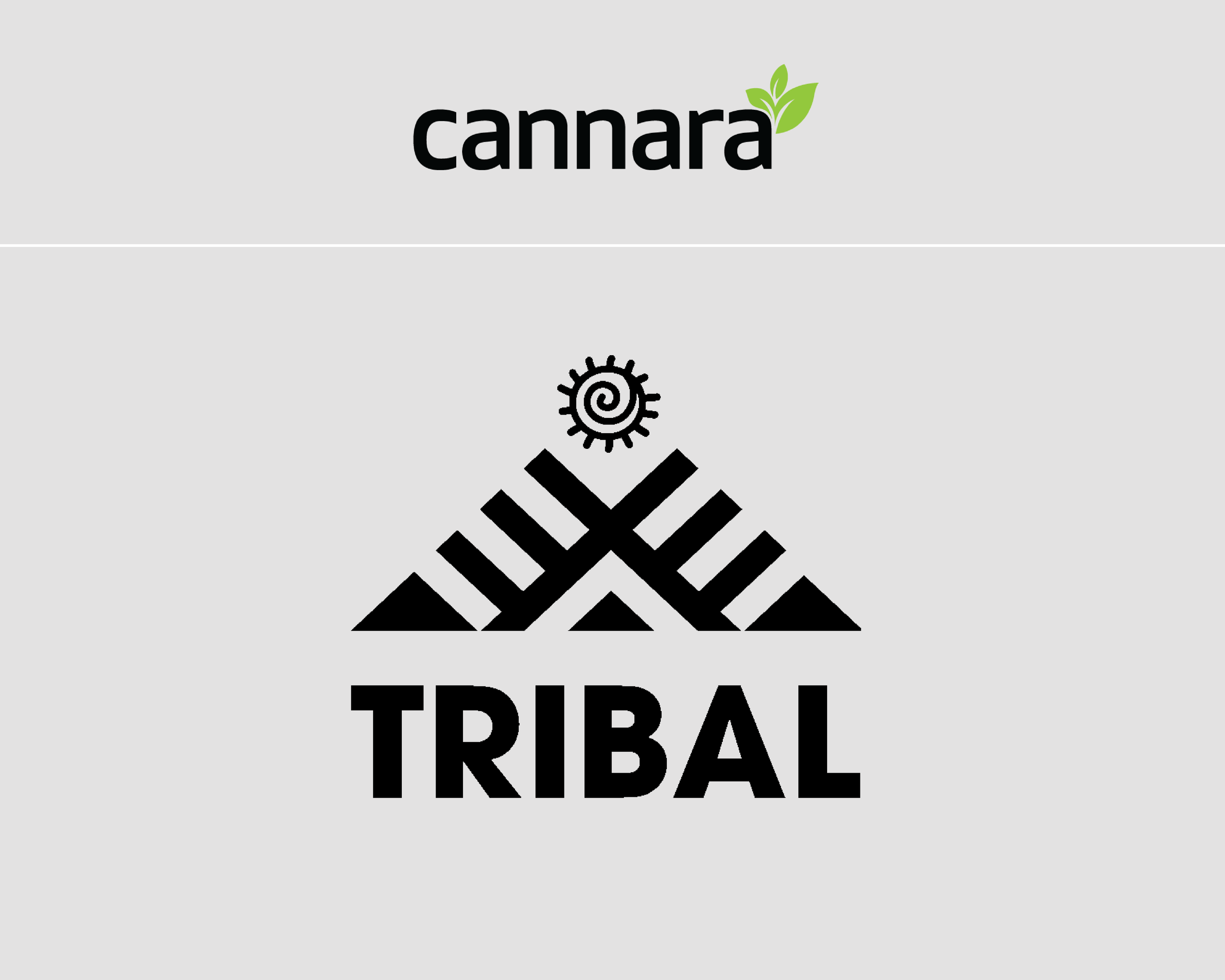 FTLD-Website-Customer-ReelArtboard 1.png