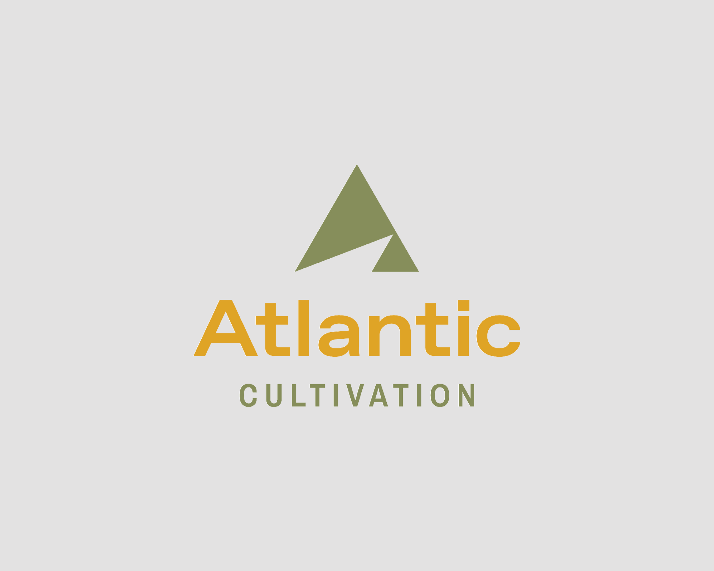 FTLD-Website-Customer-ReelArtboard 5.png