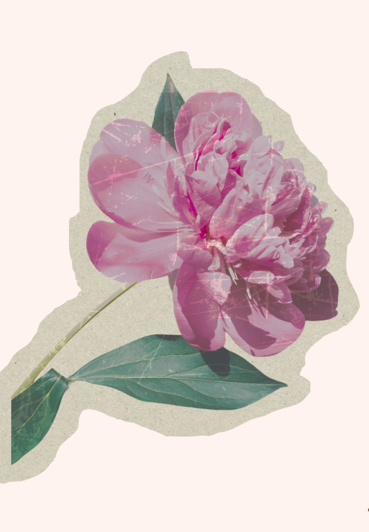 Your Period Pain Has a Message: Why Painful Periods Are Common but Not Normal