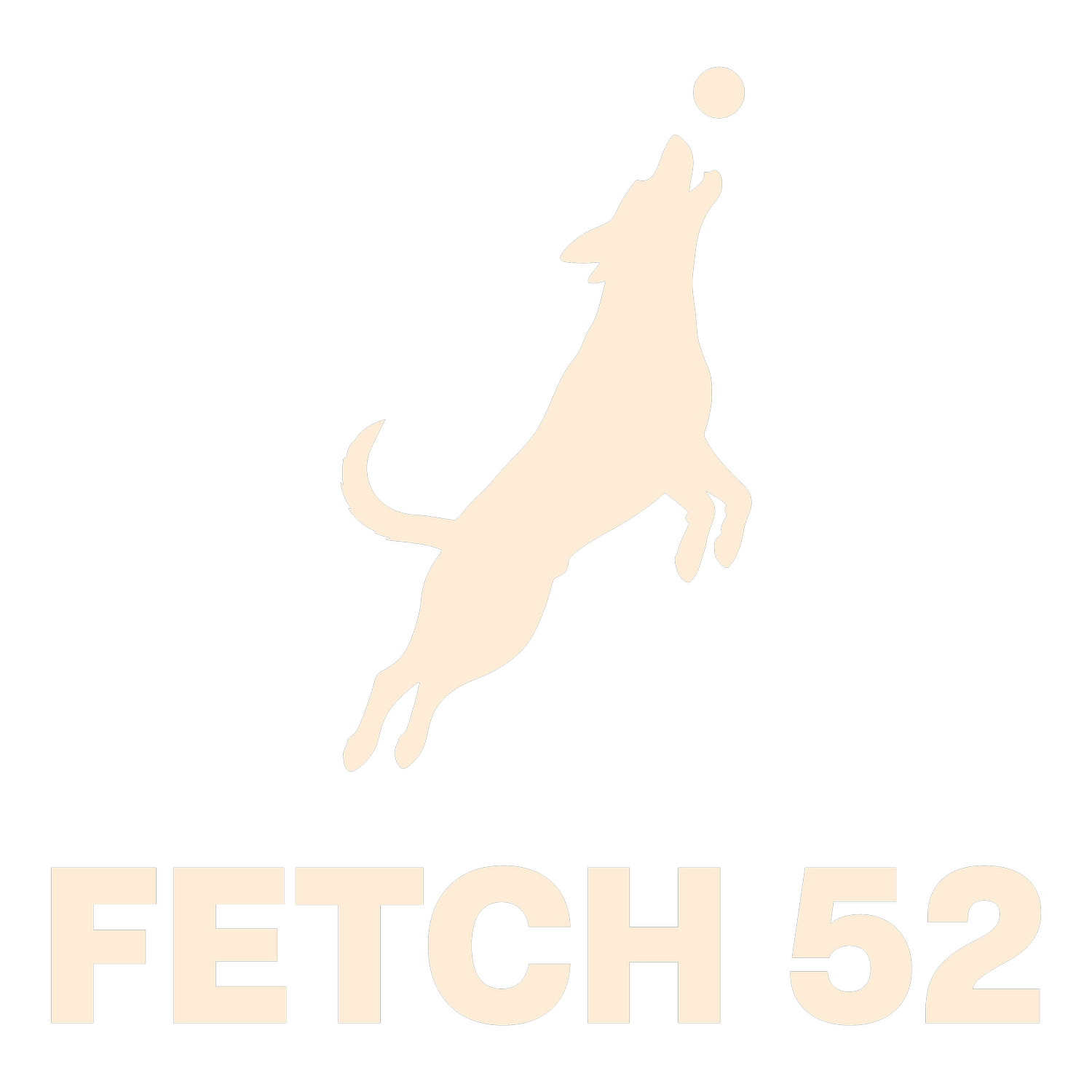 FETCH 52
