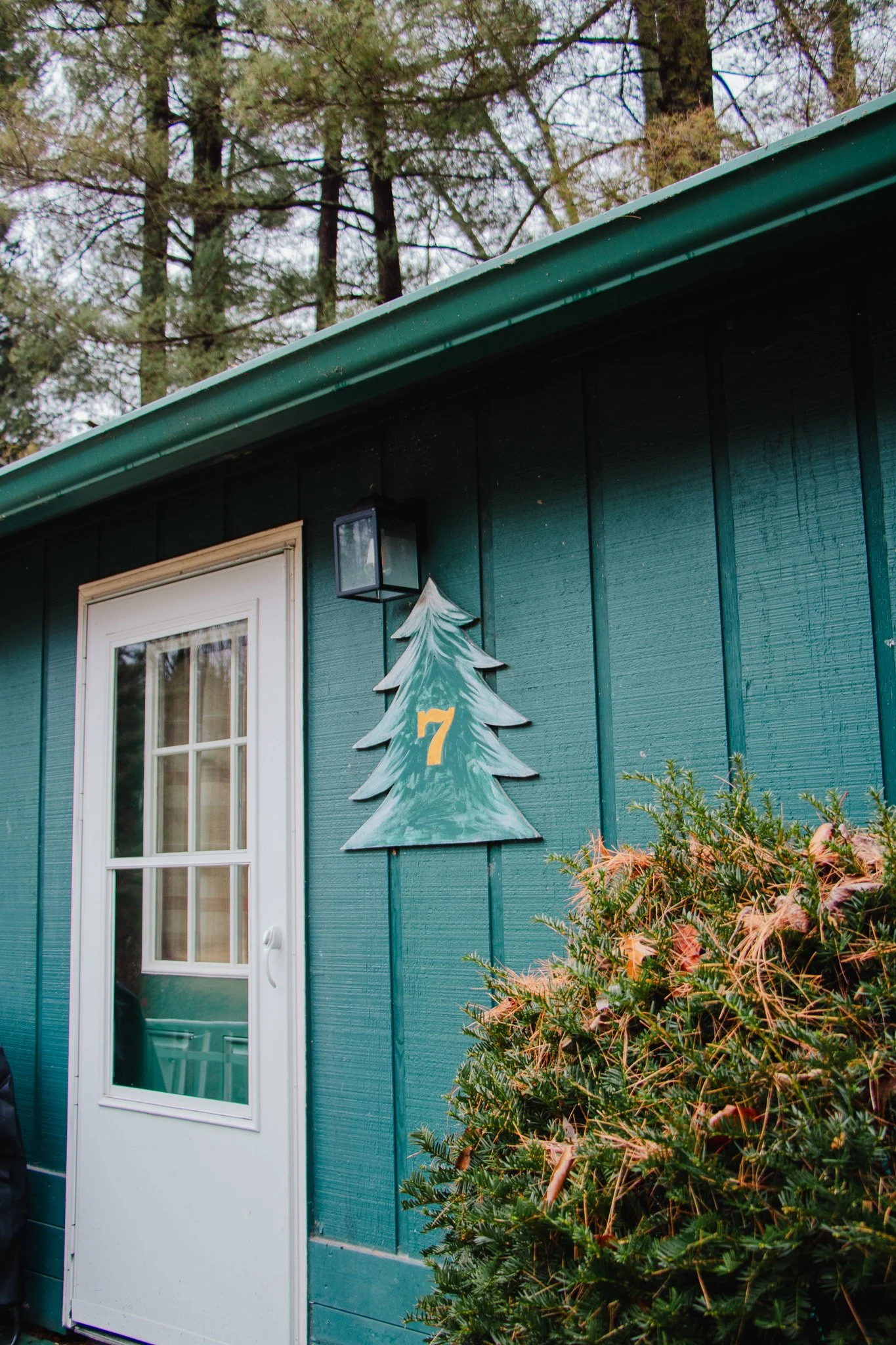 Exterior of a teal-colored house with a white door, decorated with a wall-mounted sign of a pine tree with the number 7, and some bushes in the foreground.