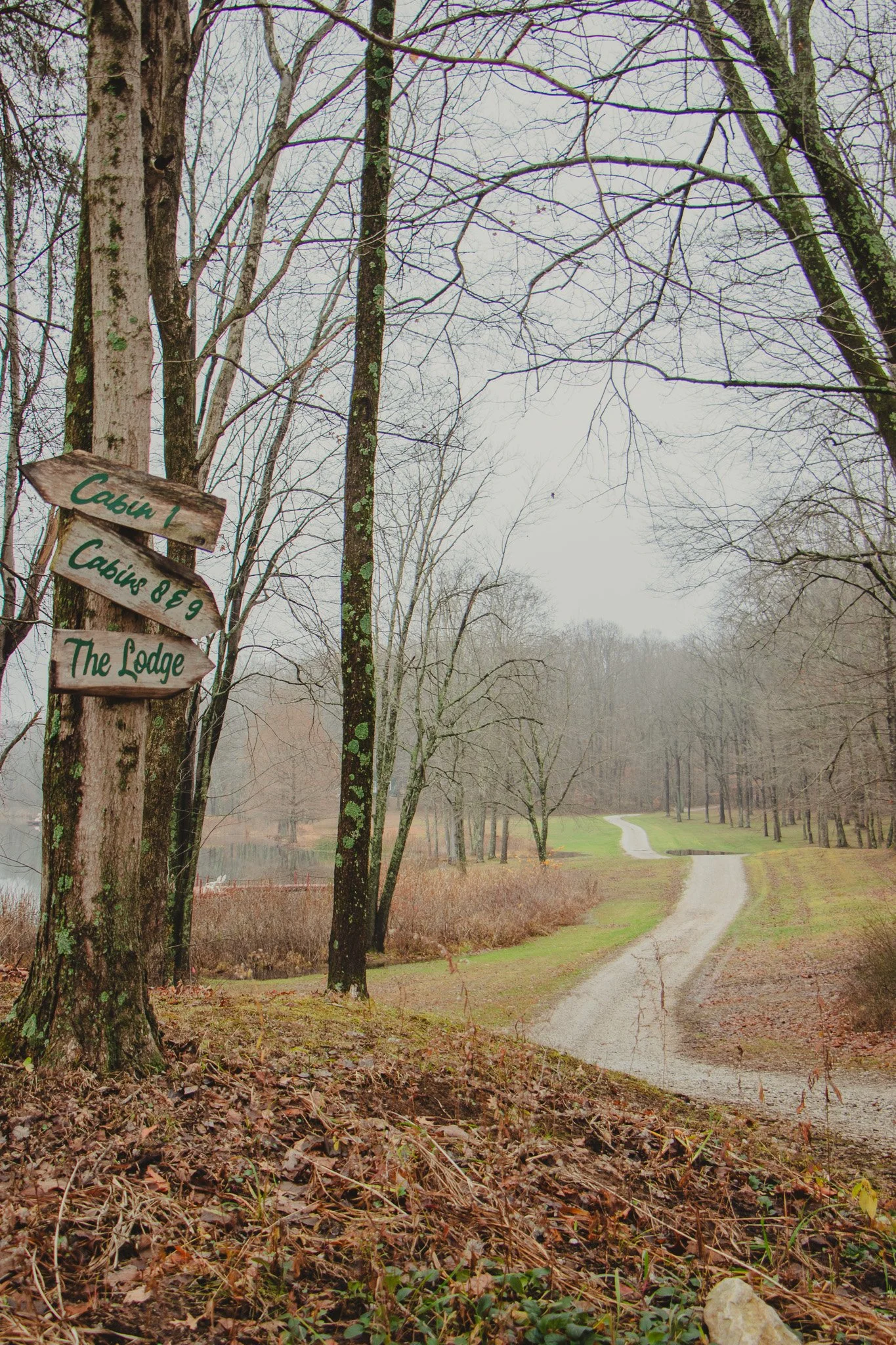 Dirt road winding through a leafless wooded area with a small pond on the left. Three wooden signs on a tree read "Cabin!", "Cabins 8 & 9", and "The Lodge".