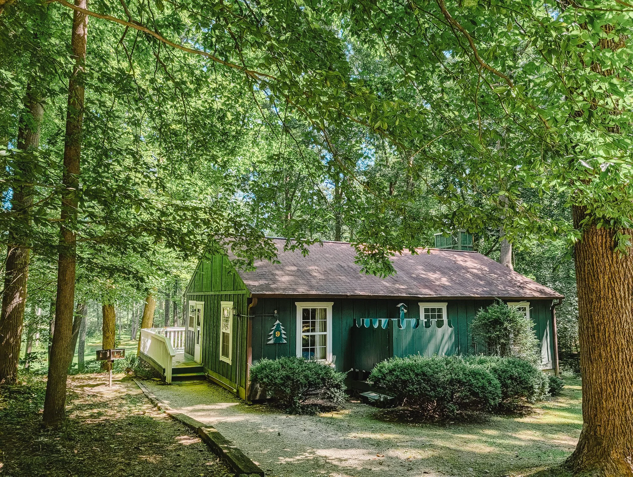 A small green house in a wooded area, surrounded by trees and shrubs, with a gravel pathway leading to the front door.