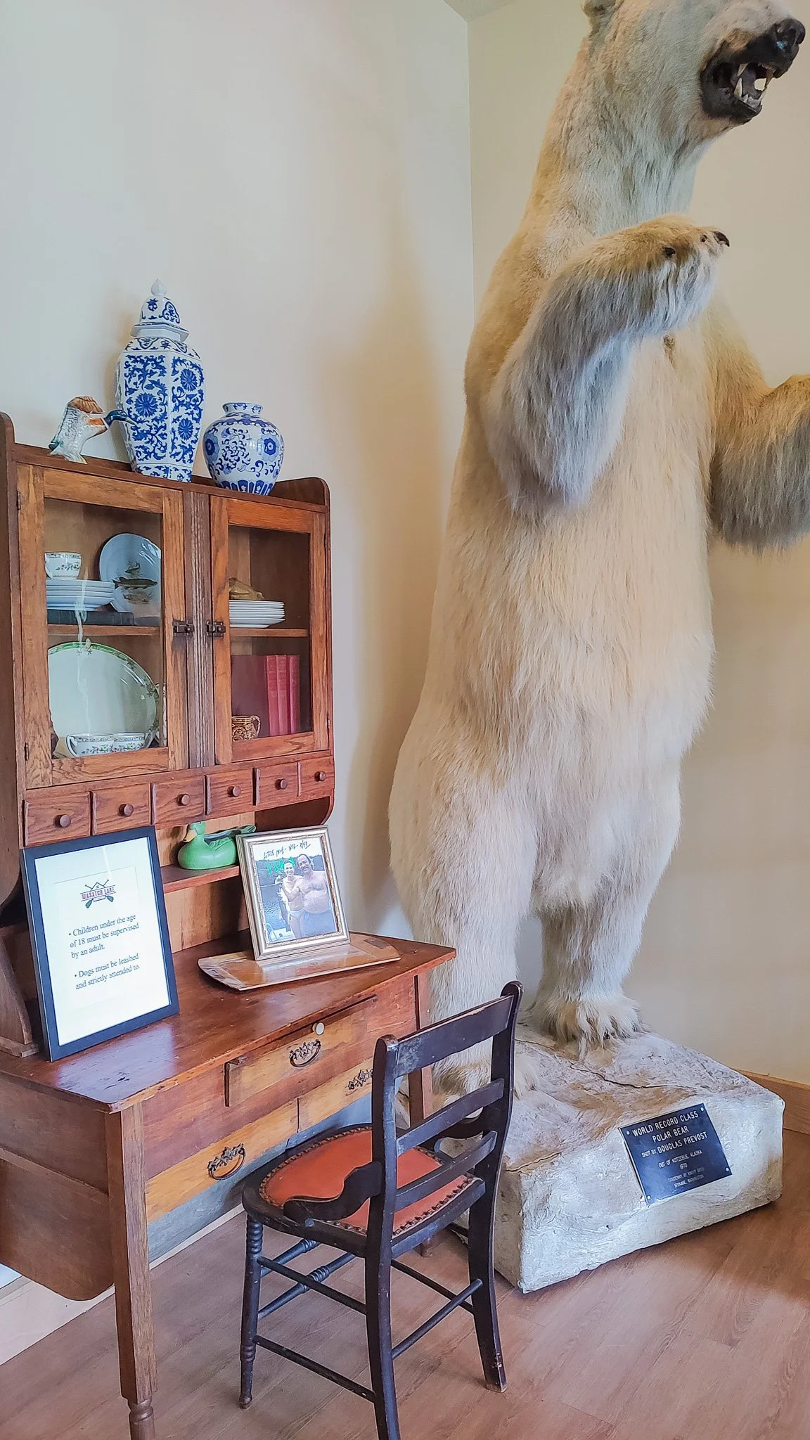 A taxidermied polar bear standing on a rock display in a museum or exhibit, with a wooden desk, chairs, and decorative blue and white ceramics nearby.