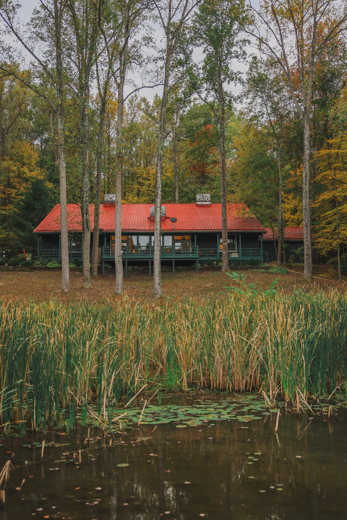 A house with a red roof is surrounded by tall trees with autumn-colored leaves, situated behind a pond with lily pads in the foreground.
