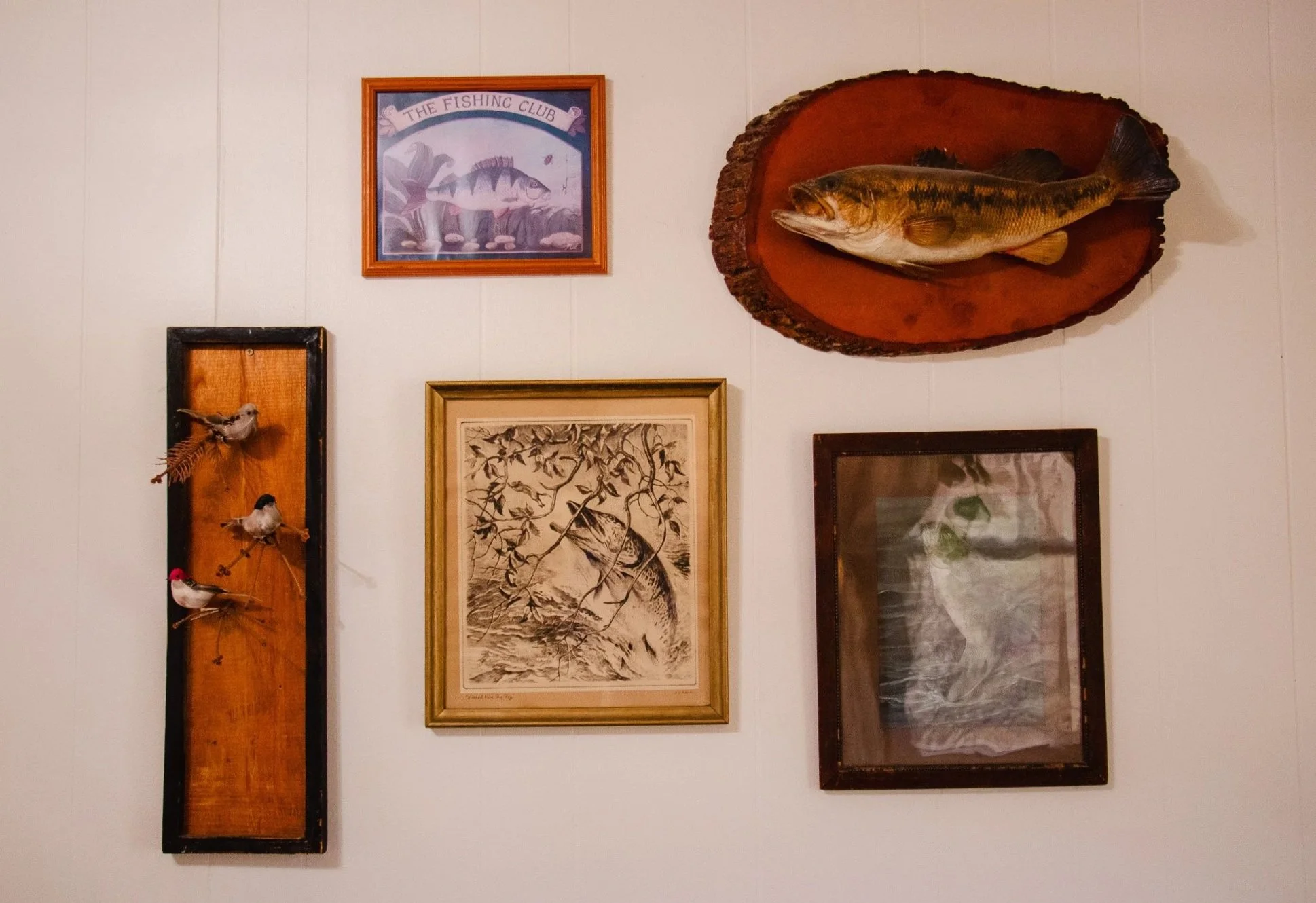 Wall decorated with a framed fish illustration, a mounted real fish on a wooden plaque, a framed bird drawing, a framed fabric or paper art, and a hanging wooden display with small bird figurines.