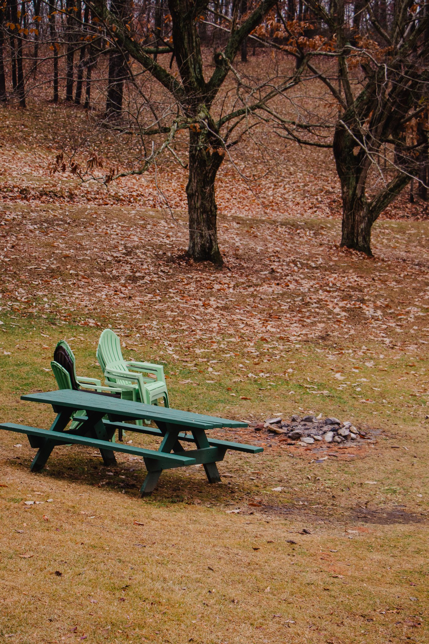 A daytime scene of an outdoor area with three remaining chairs and a picnic table on the grass in front of leafless trees with fallen leaves.